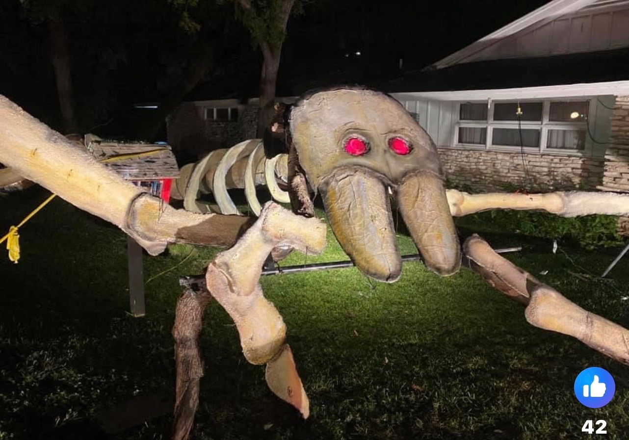 Help Make the Austin Spider Tree Permanent campaign photo, 6 of 8