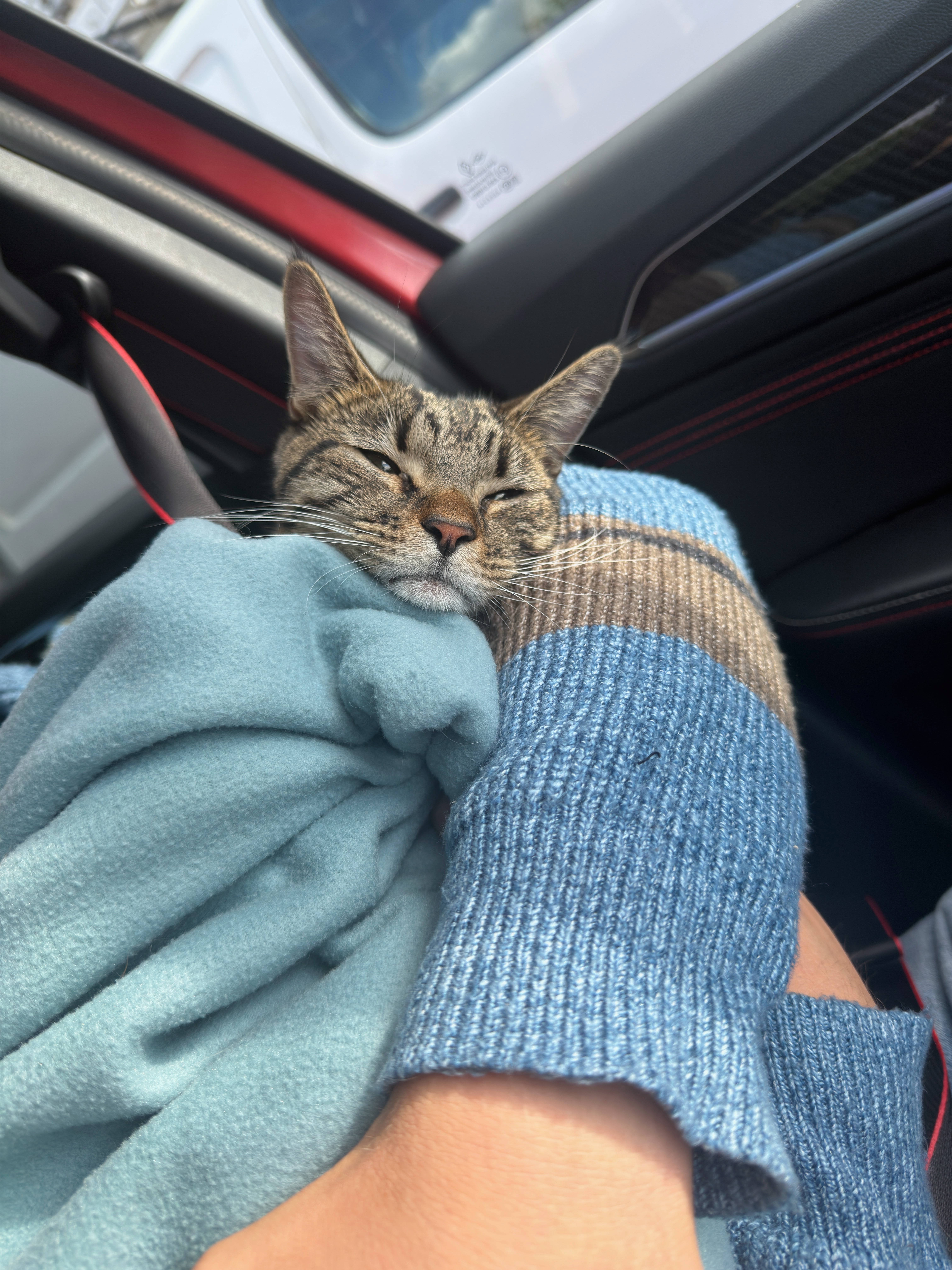 Urgent surgery needed for Meko campaign photo, 4 of 7