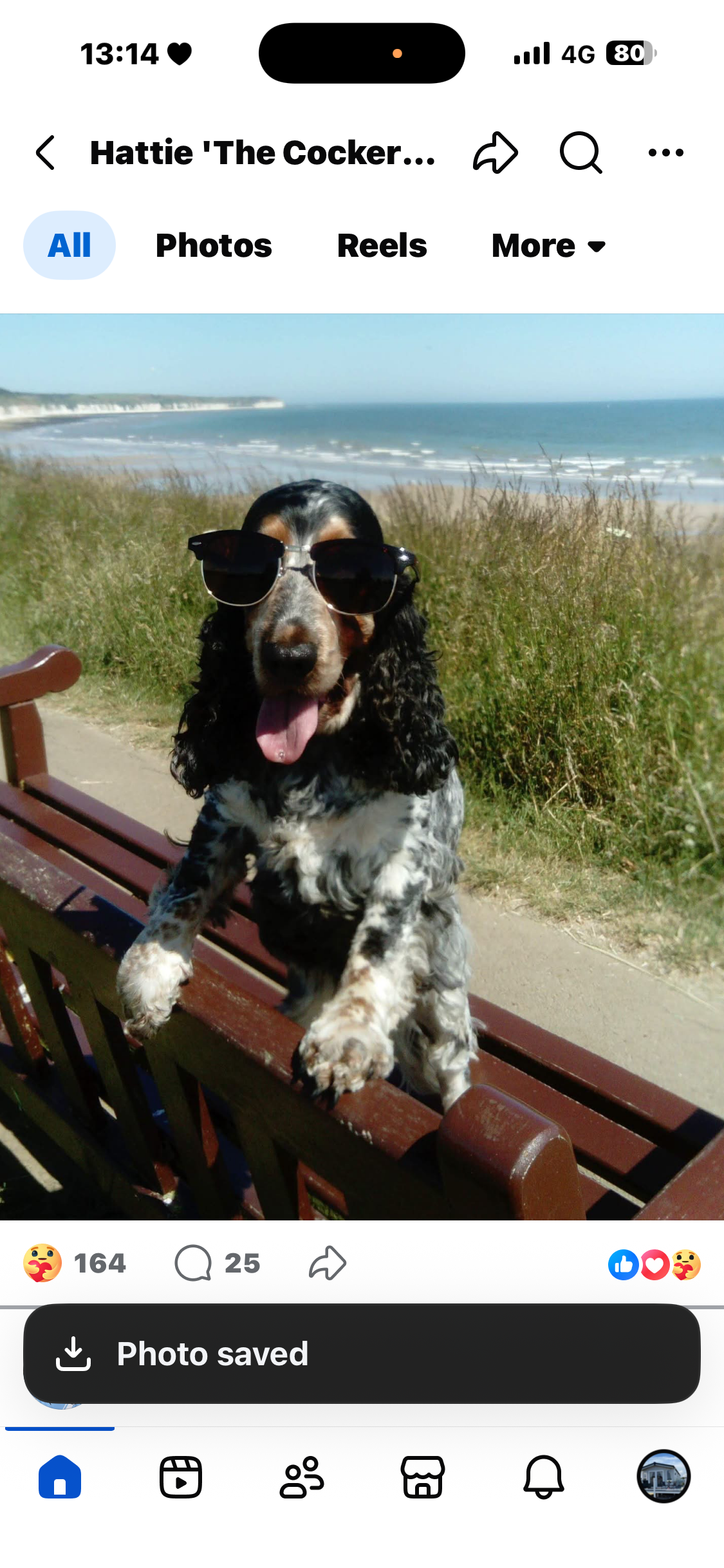 To Help Hattie with her eye consultation with a consultant campaign photo, 5 of 8