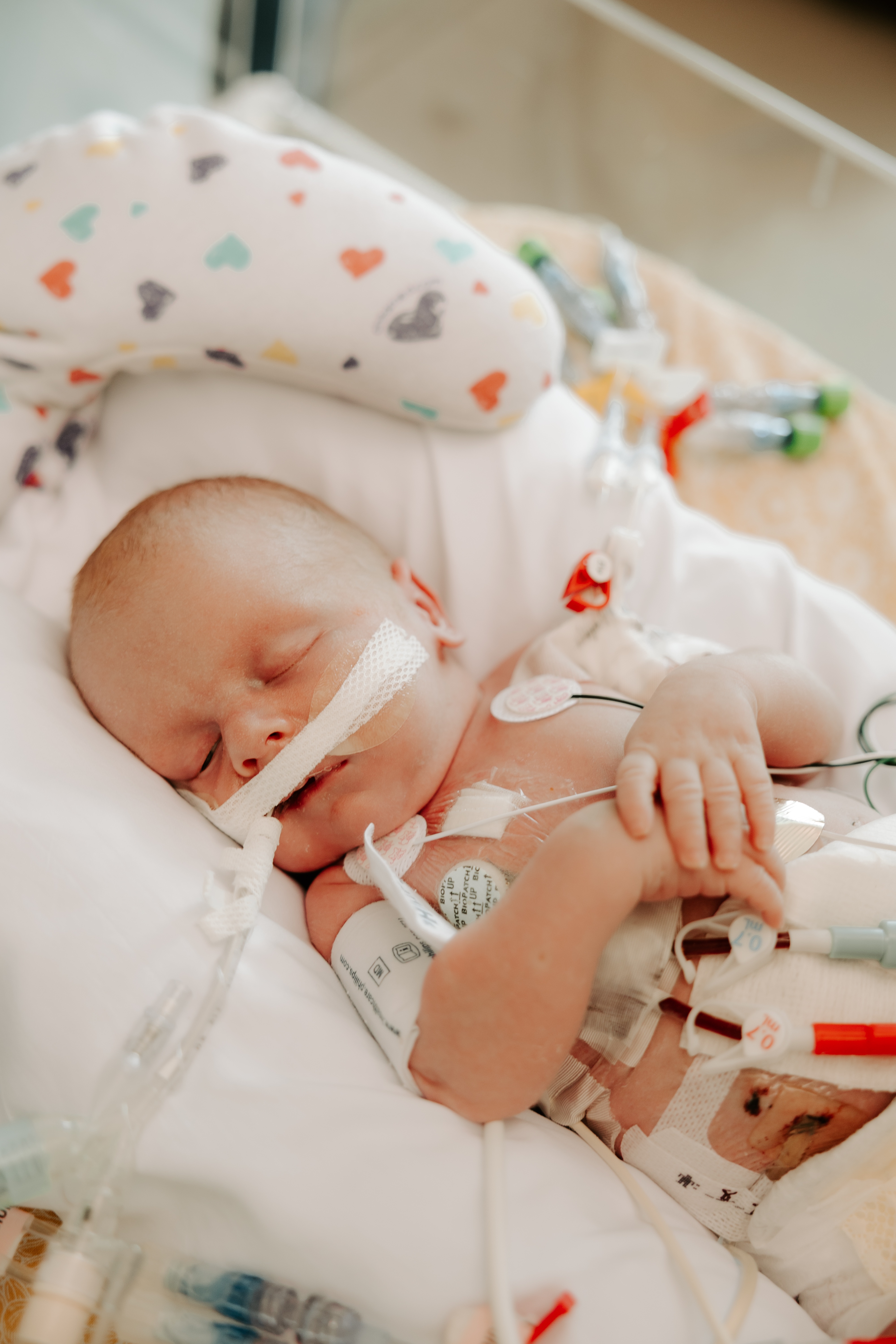 Courtney Raines  In Memory of Our Little Slayden Dean Raines gofundme donation