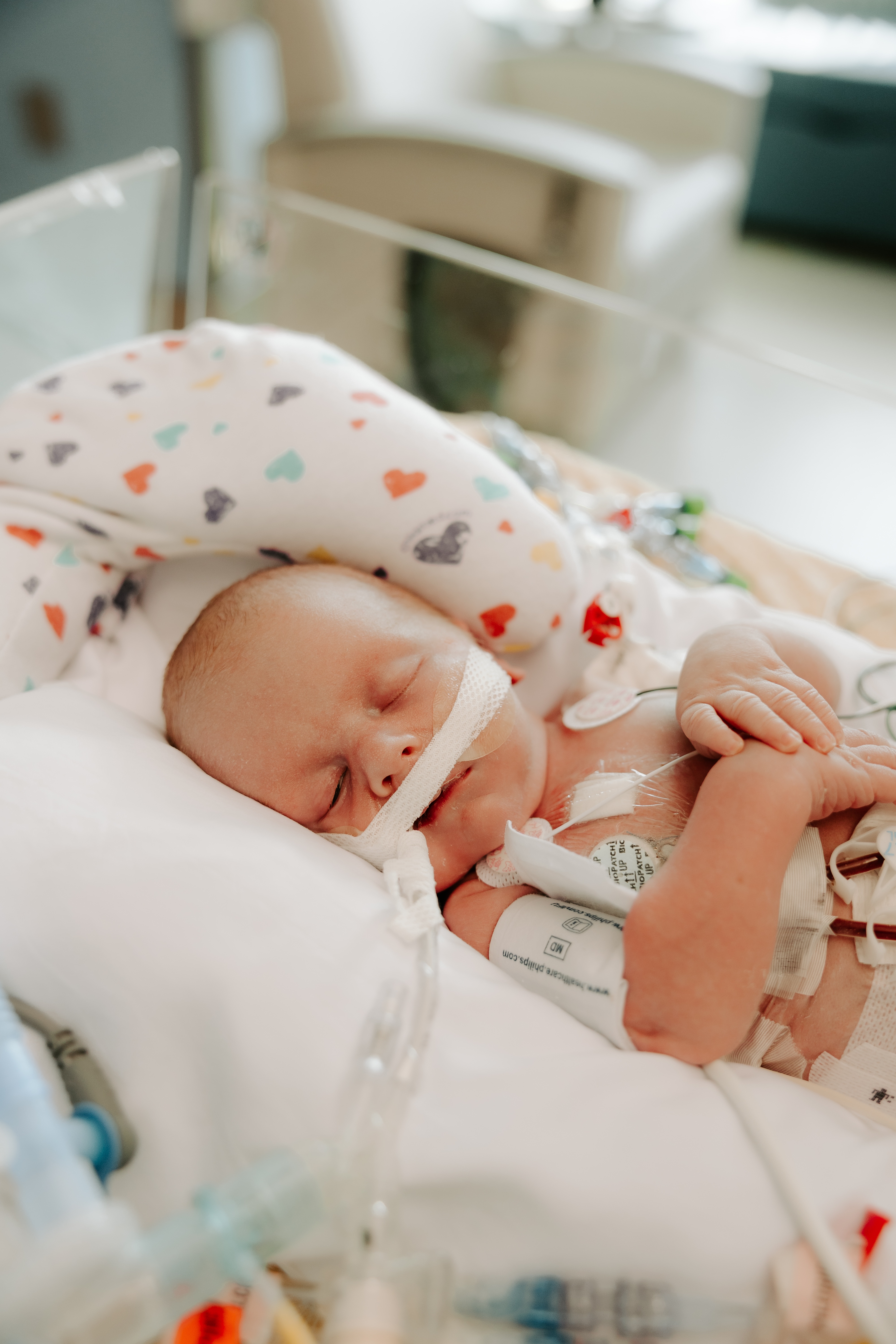 Courtney Raines  In Memory of Our Little Slayden Dean Raines gofundme donation