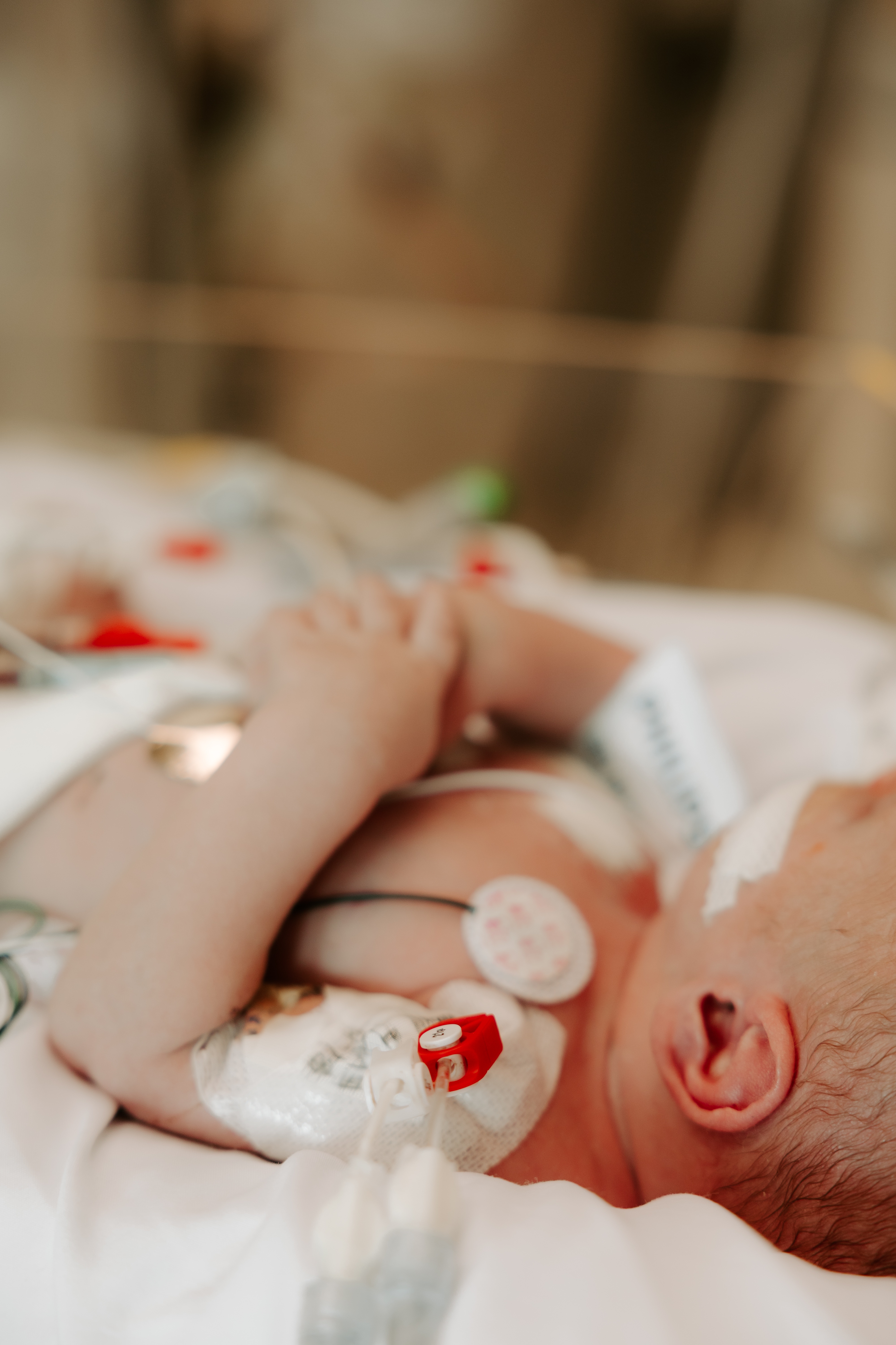 Courtney Raines  In Memory of Our Little Slayden Dean Raines gofundme donation