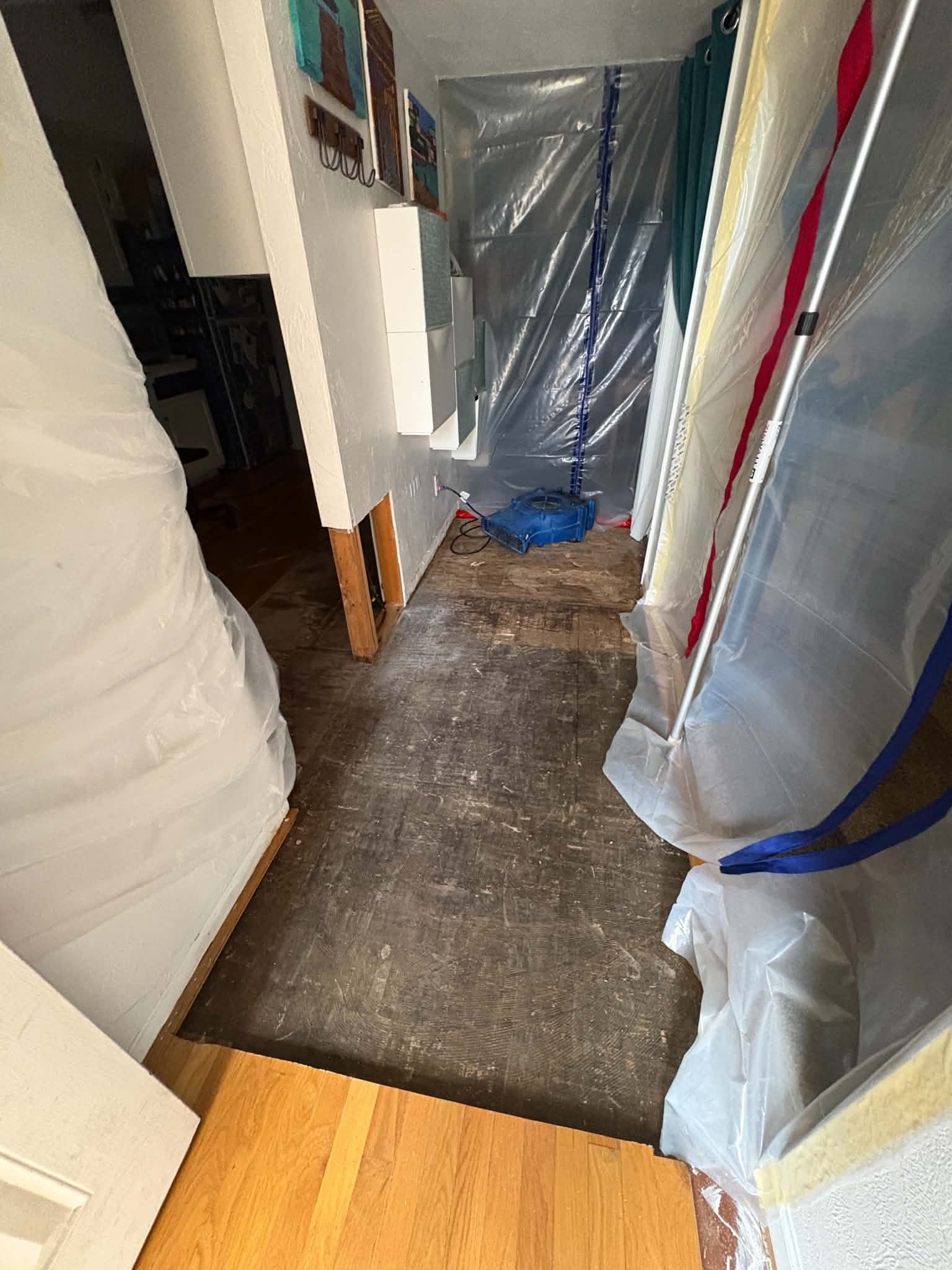 Help Gabrielle fund homerepairs after a flooding campaign photo, 5 of 7