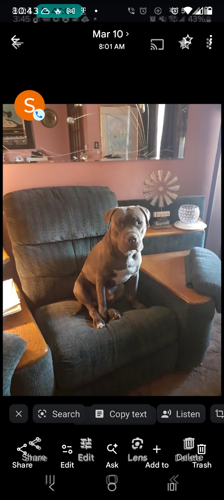 Help Big Boy Get Urgent Eye Surgery campaign photo, 7 of 8
