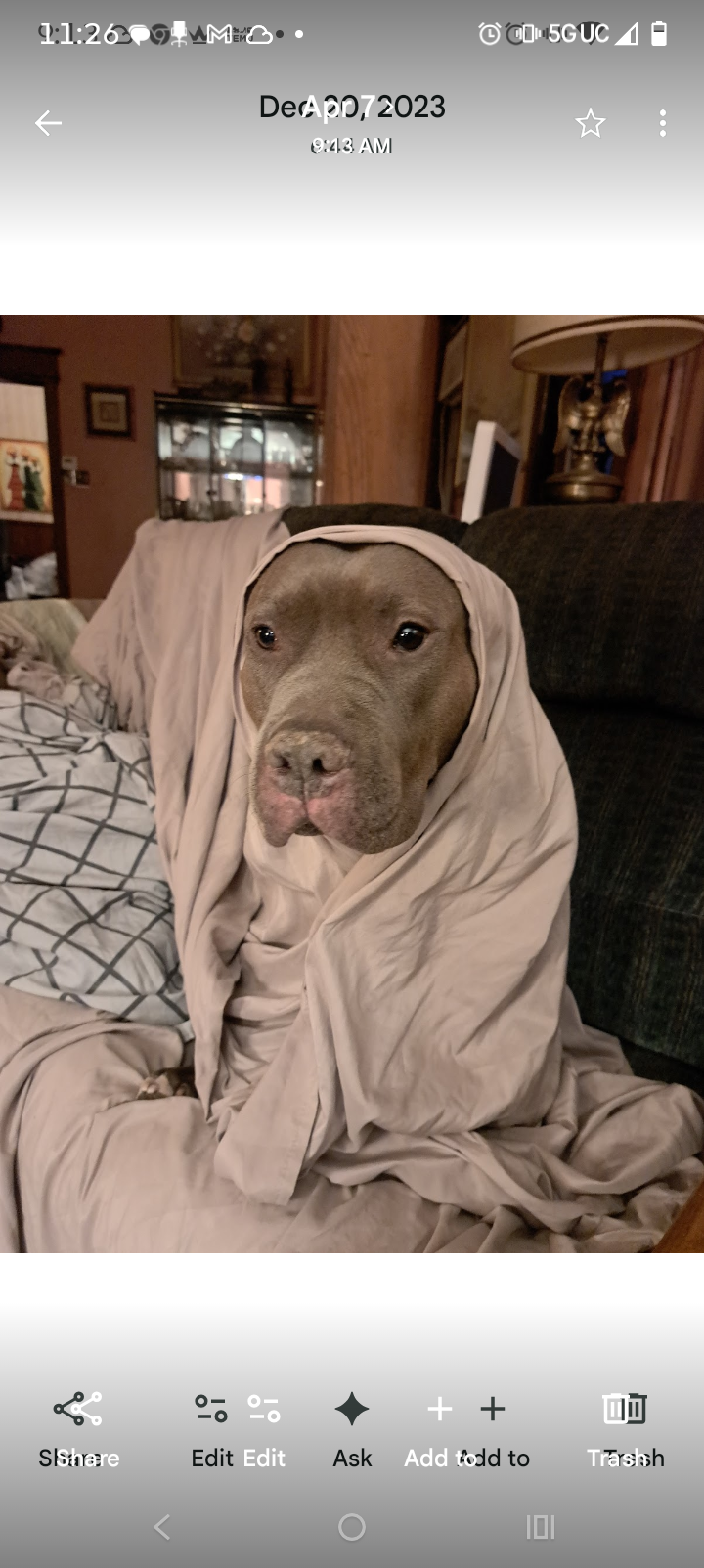 Help Big Boy Get Urgent Eye Surgery campaign photo, 2 of 8