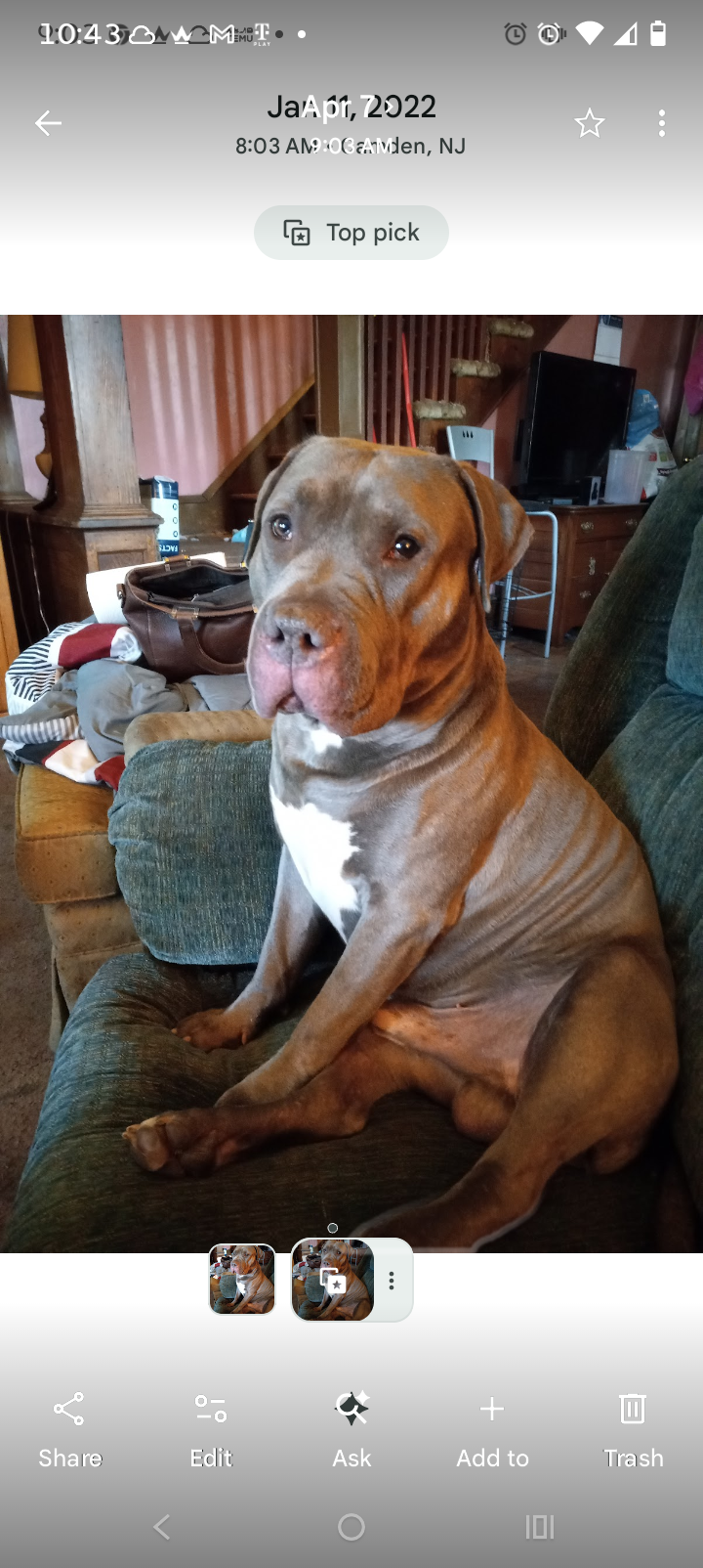 Help Big Boy Get Urgent Eye Surgery campaign photo, 4 of 8