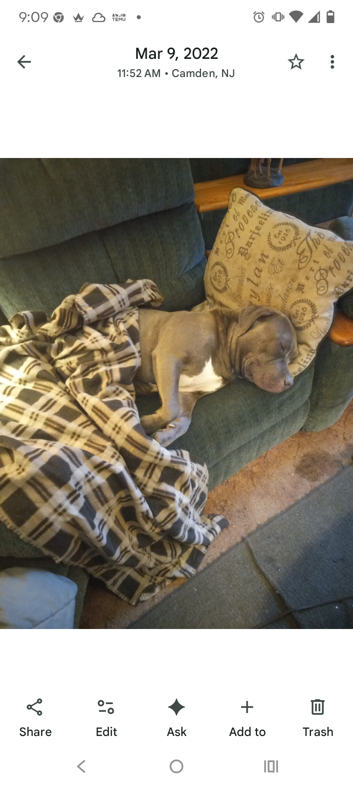 Help Big Boy Get Urgent Eye Surgery campaign photo, 5 of 8