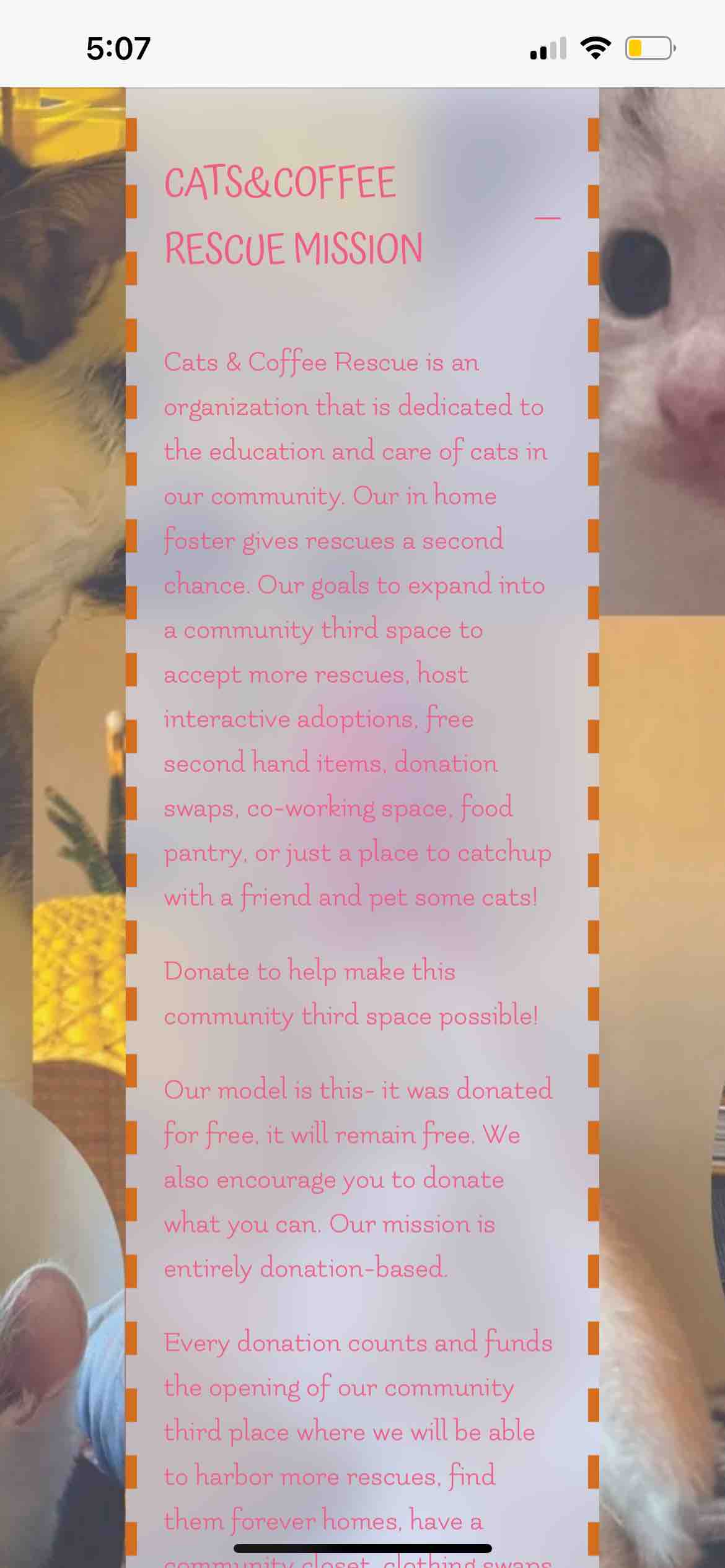 Support Cats & Coffee Rescue's Impactful Mission campaign photo, 11 of 12