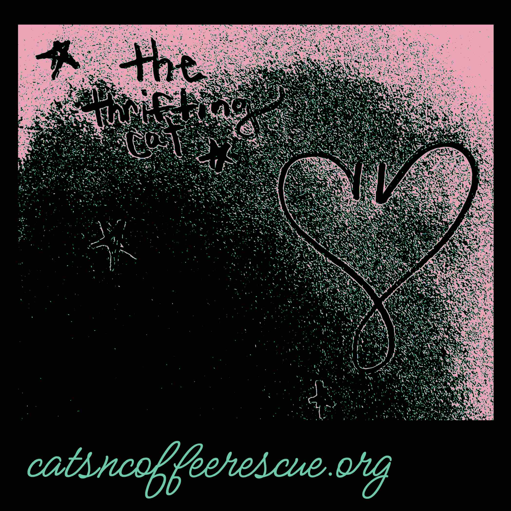 Support Cats & Coffee Rescue's Impactful Mission campaign photo, 4 of 12