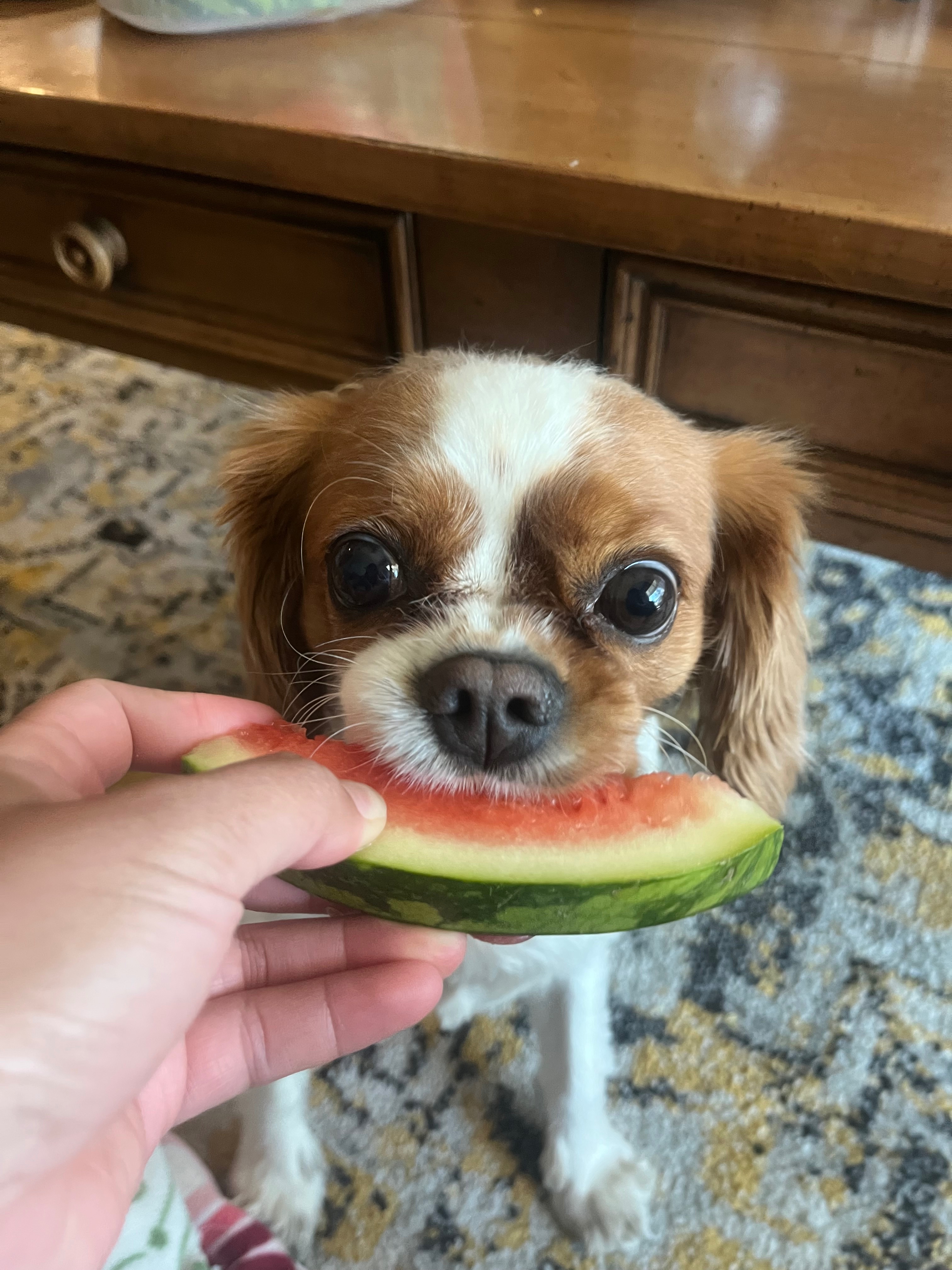 Help Obi Get Urgent Care campaign photo, 9 of 10