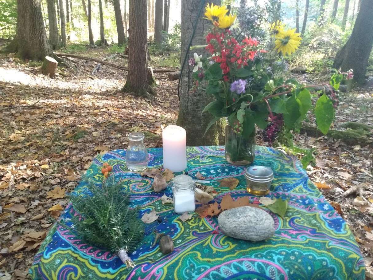 SAVE Giant Journey Farm: Help Us Buy 2 Acres campaign photo, 2 of 8
