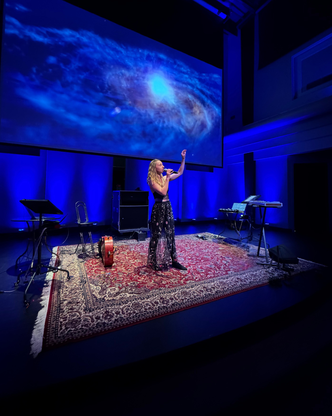 Bring Sara & Shaun's Music & Concert Vision to Life campaign photo, 2 of 8