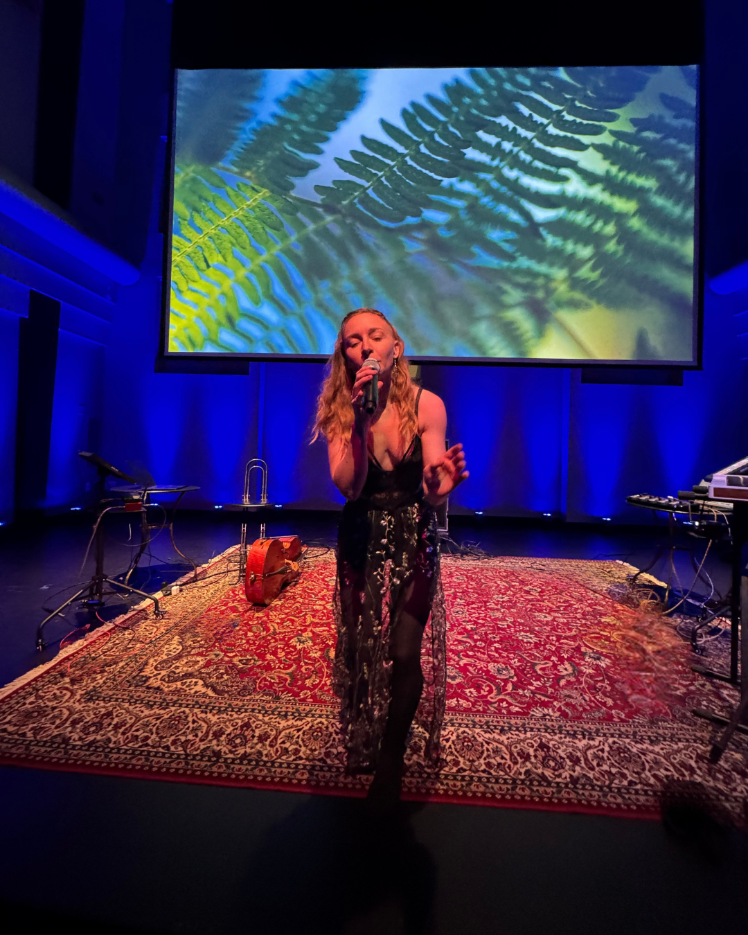 Bring Sara & Shaun's Music & Concert Vision to Life campaign photo, 5 of 8