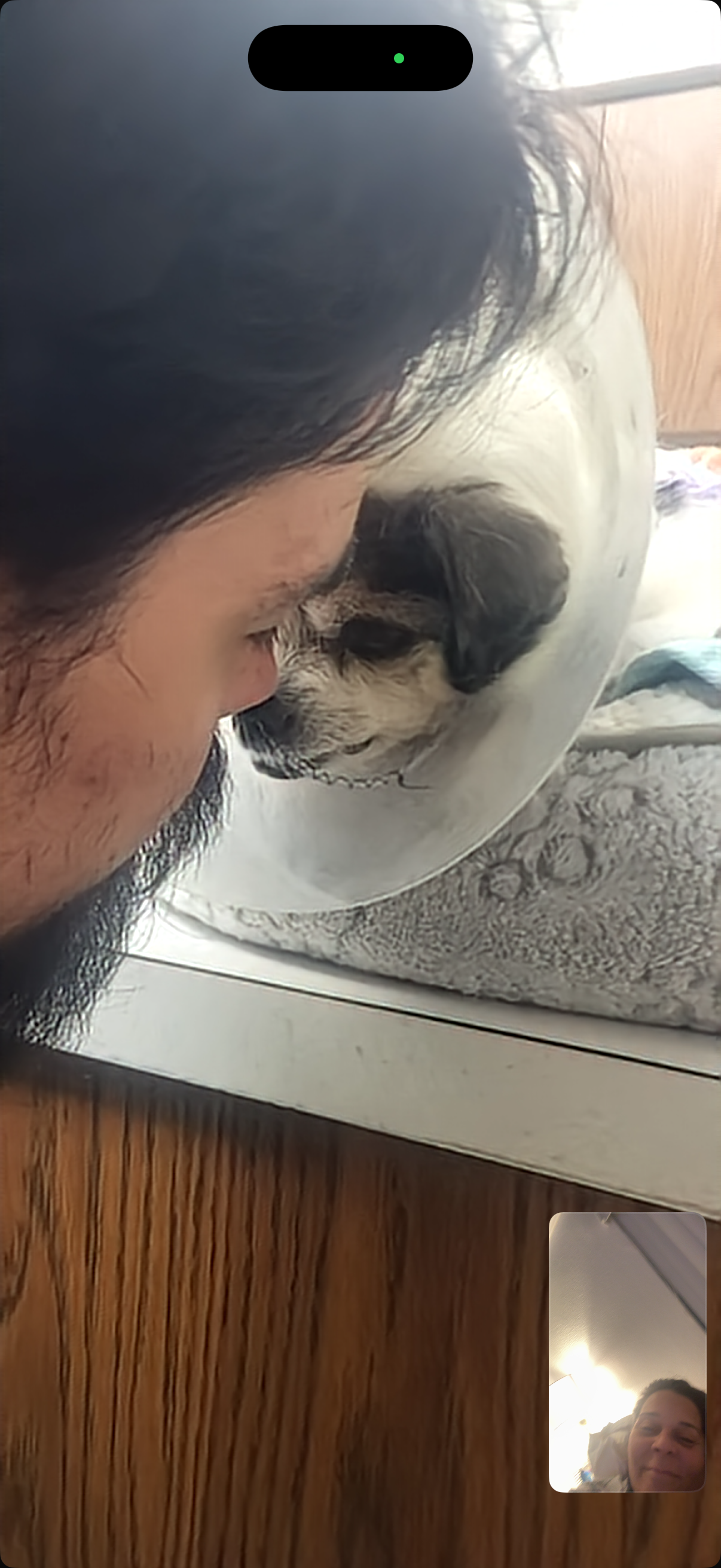 Help Pepe fight to come home campaign photo, 7 of 11