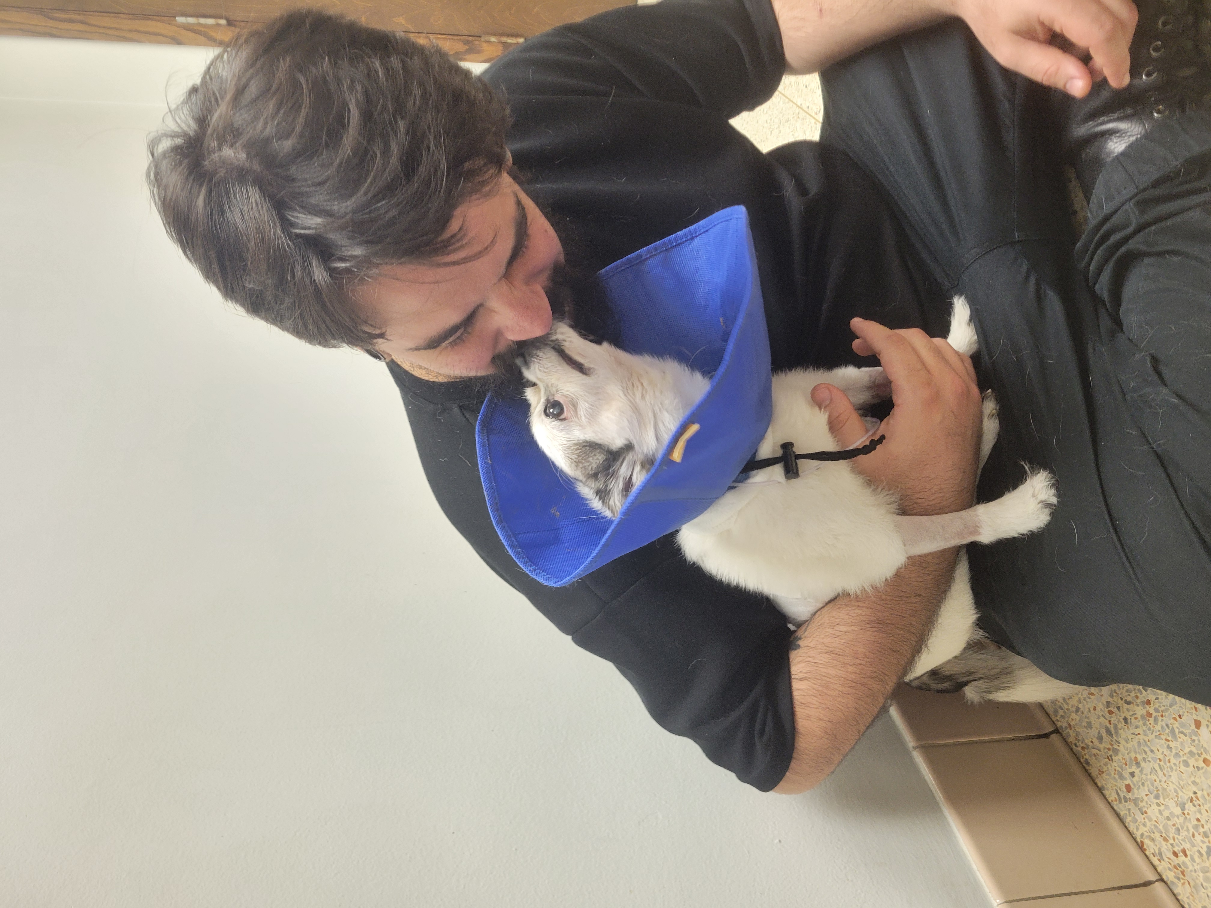 Help Pepe fight to come home campaign photo, 9 of 11