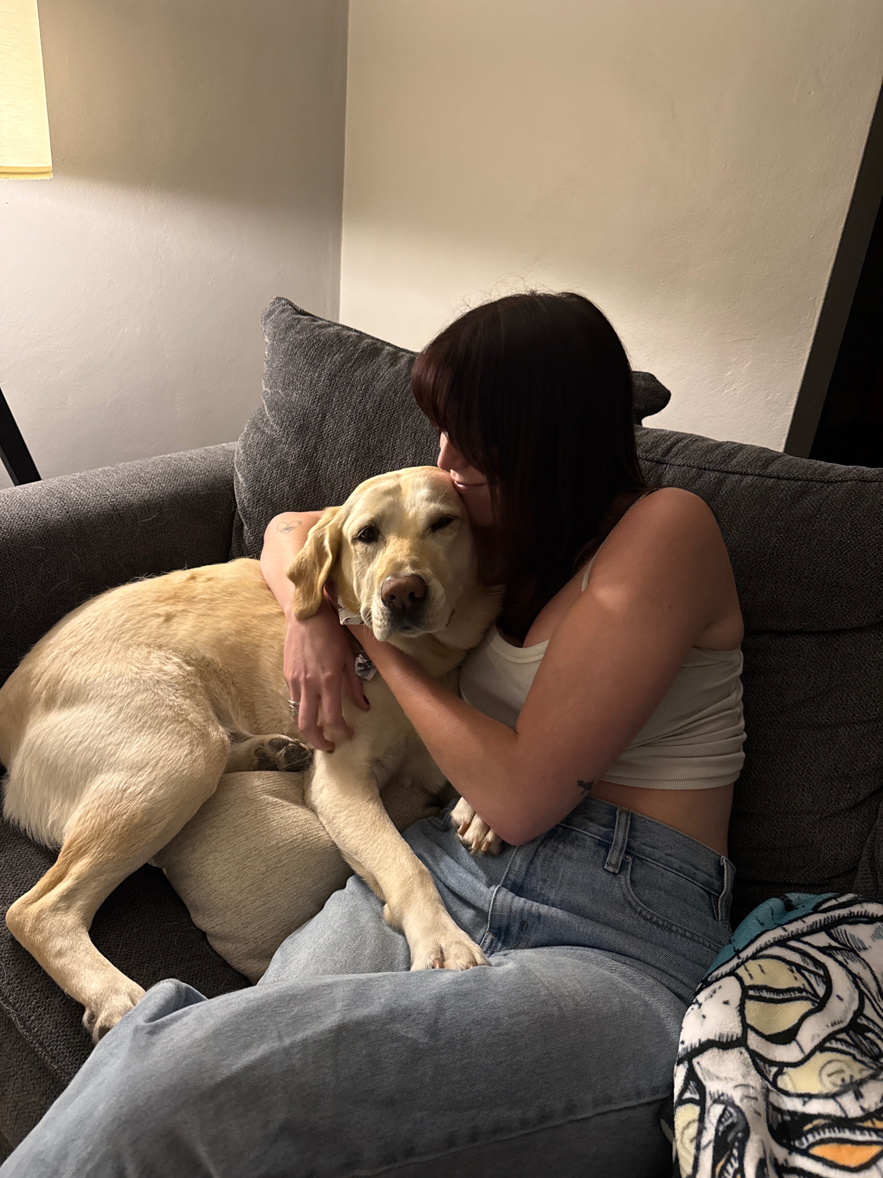 Save Remi: A Beloved Dog's Surgery Fund campaign photo, 2 of 8