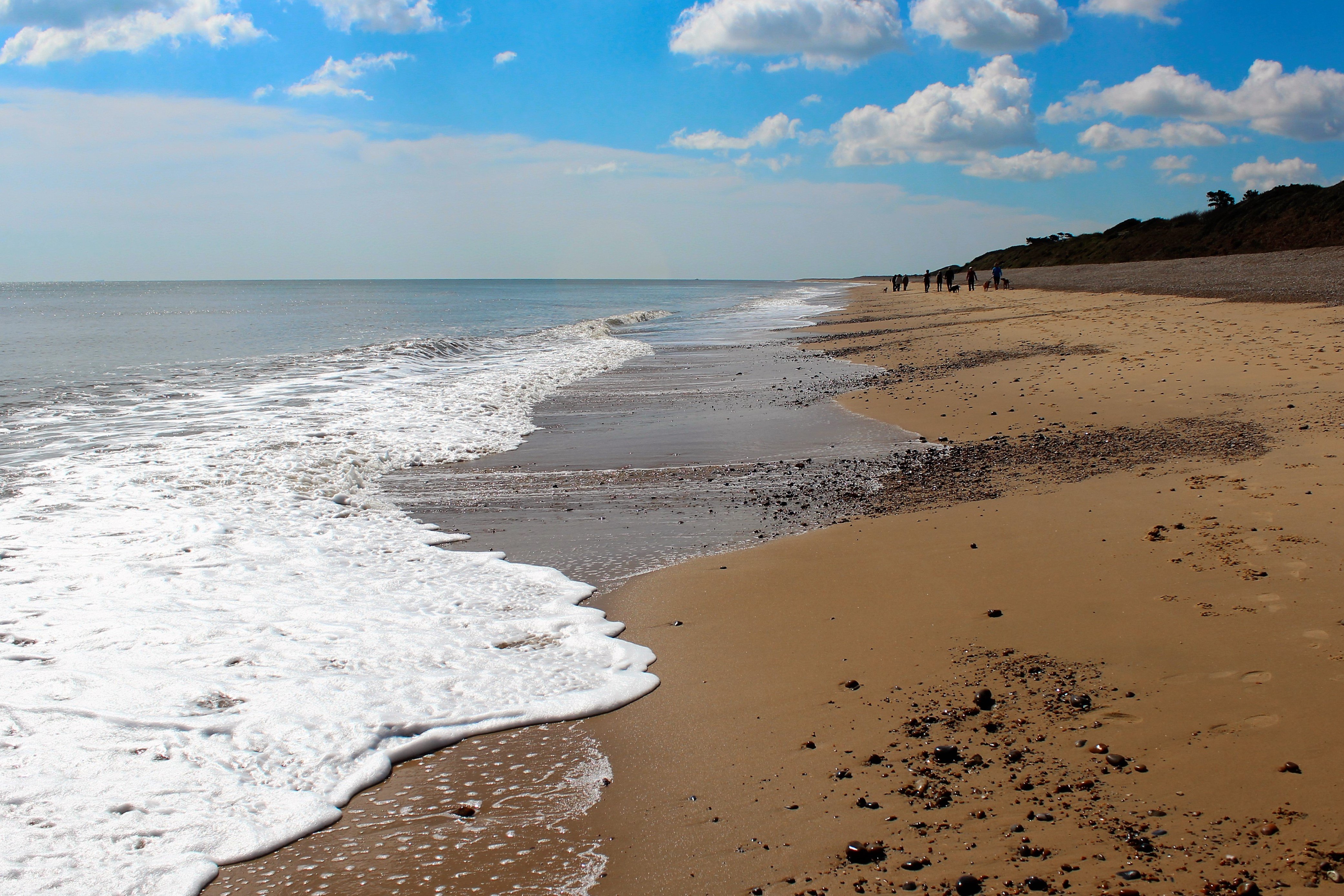 Secure Sizewell Hall's Future campaign photo, 5 of 7