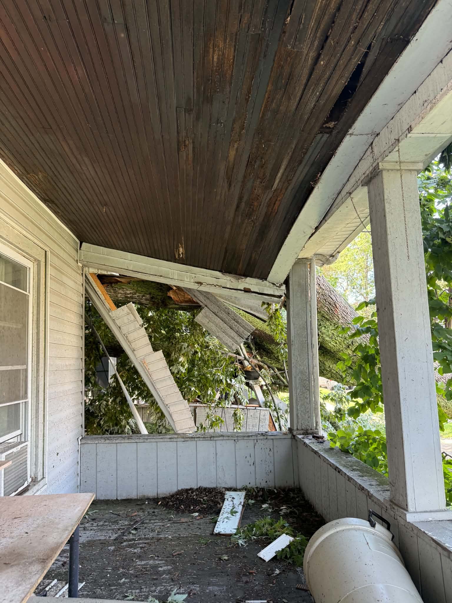 Support My Mother After Tree Damage campaign photo, 7 of 8