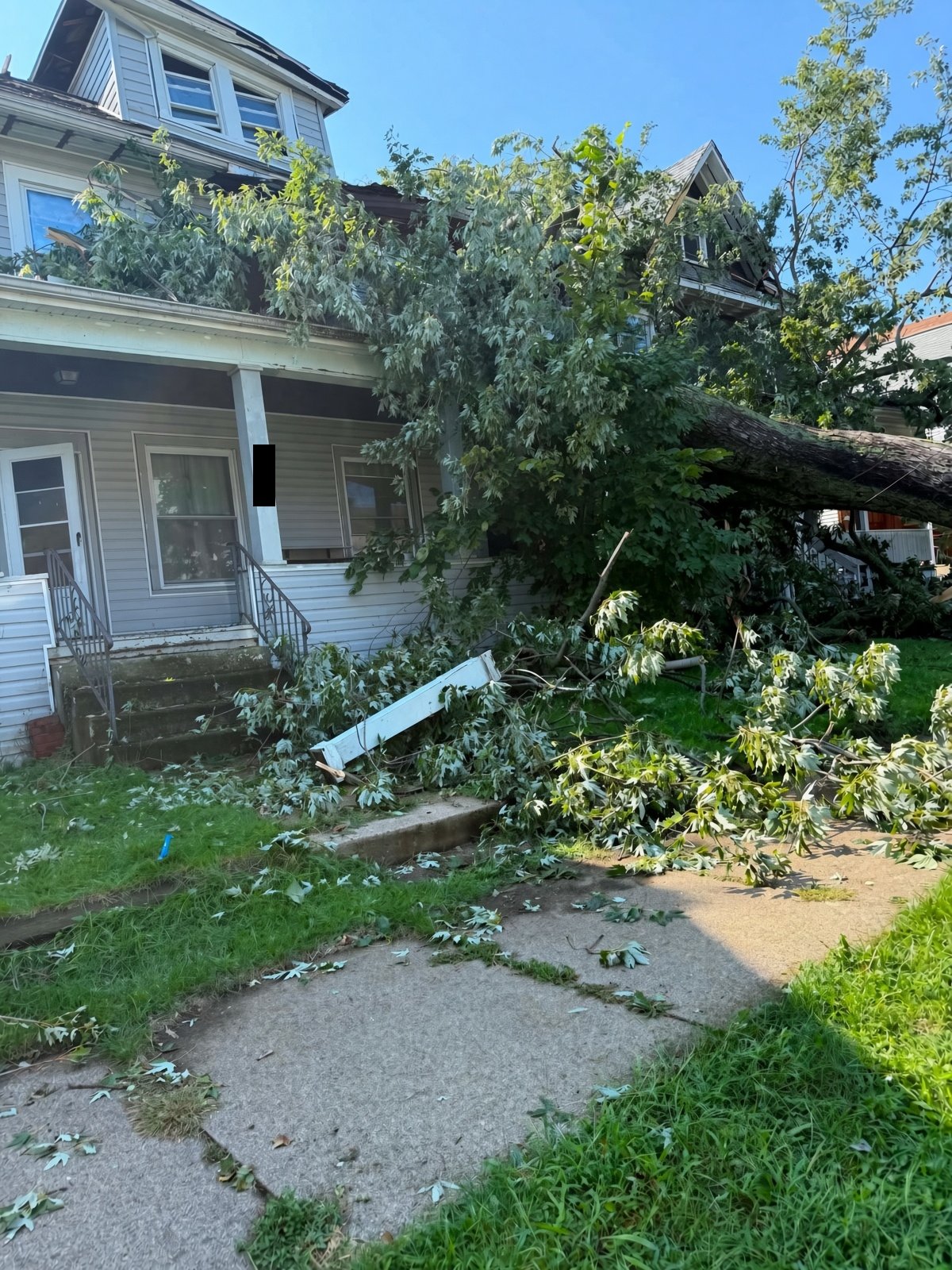Support My Mother After Tree Damage campaign photo, 4 of 8