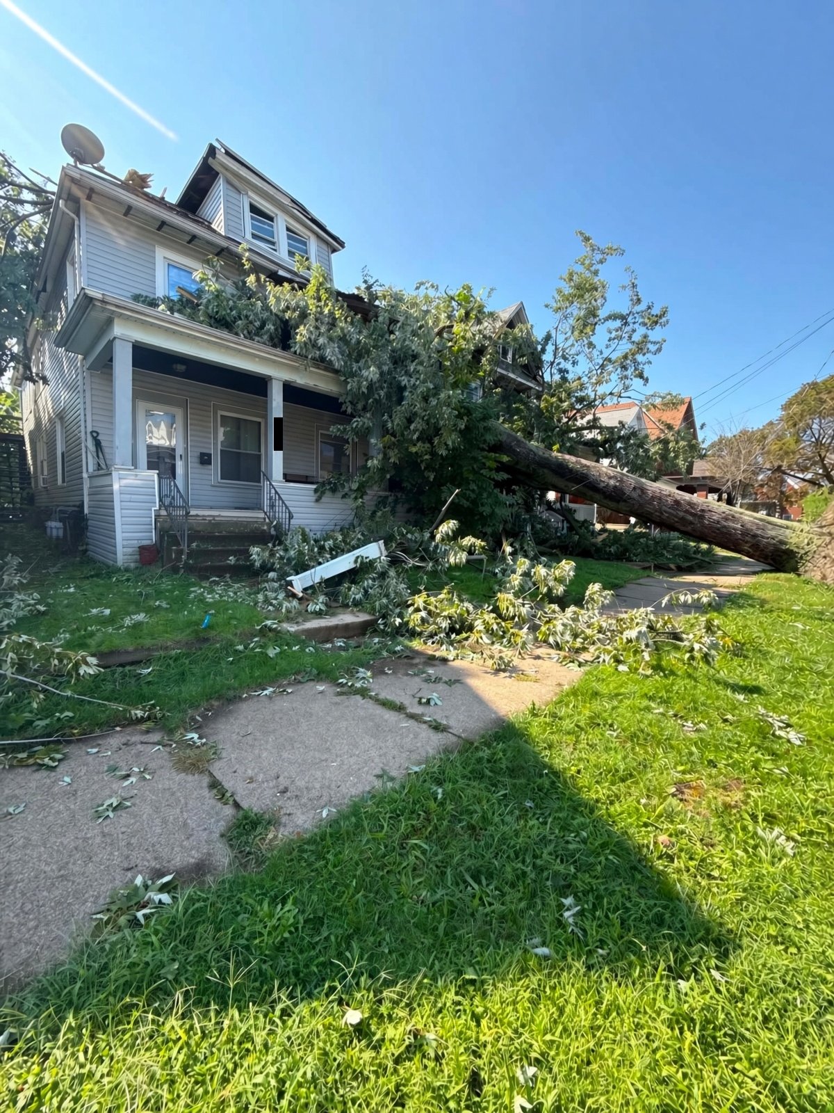 Support My Mother After Tree Damage campaign photo, 2 of 8