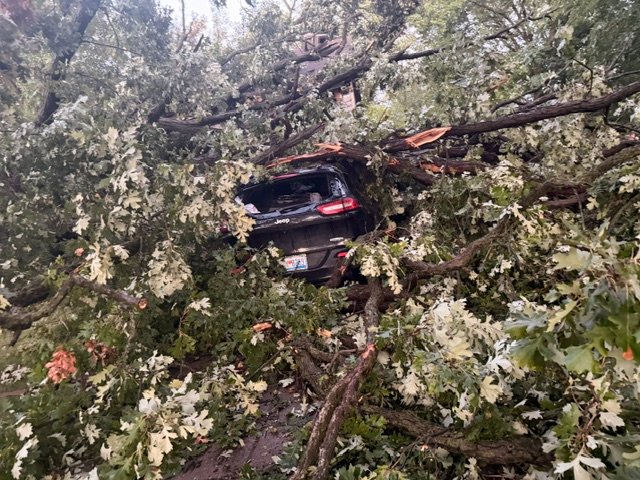 Help Nia & Her Family Recover From Storm Damage ❤️ campaign photo, 4 of 8