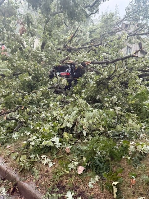 Help Nia & Her Family Recover From Storm Damage ❤️ campaign photo, 5 of 8