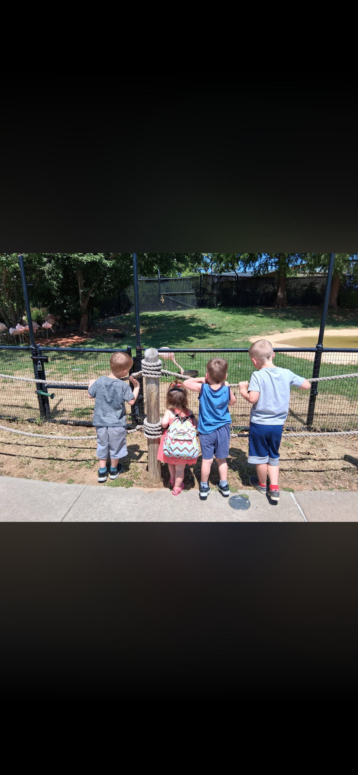 Support Kaitie's 6 Children After Tragedy campaign photo, 10 of 11