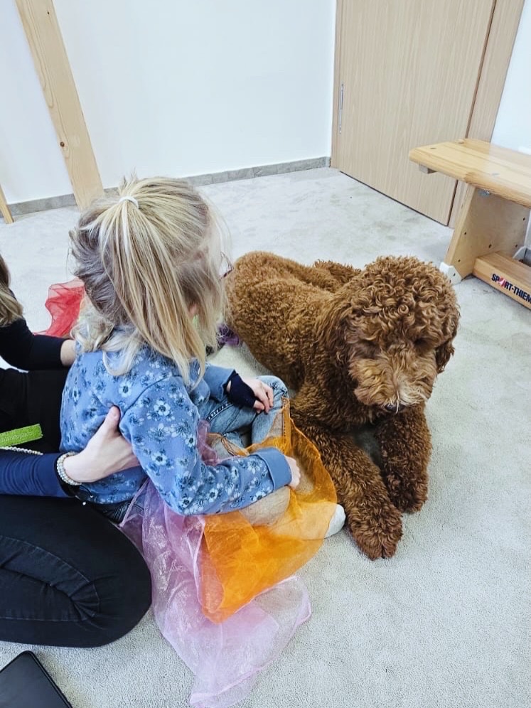 Kampagnen-Foto für Ein Assistenzhund für Mira ❤️, 4 von 8