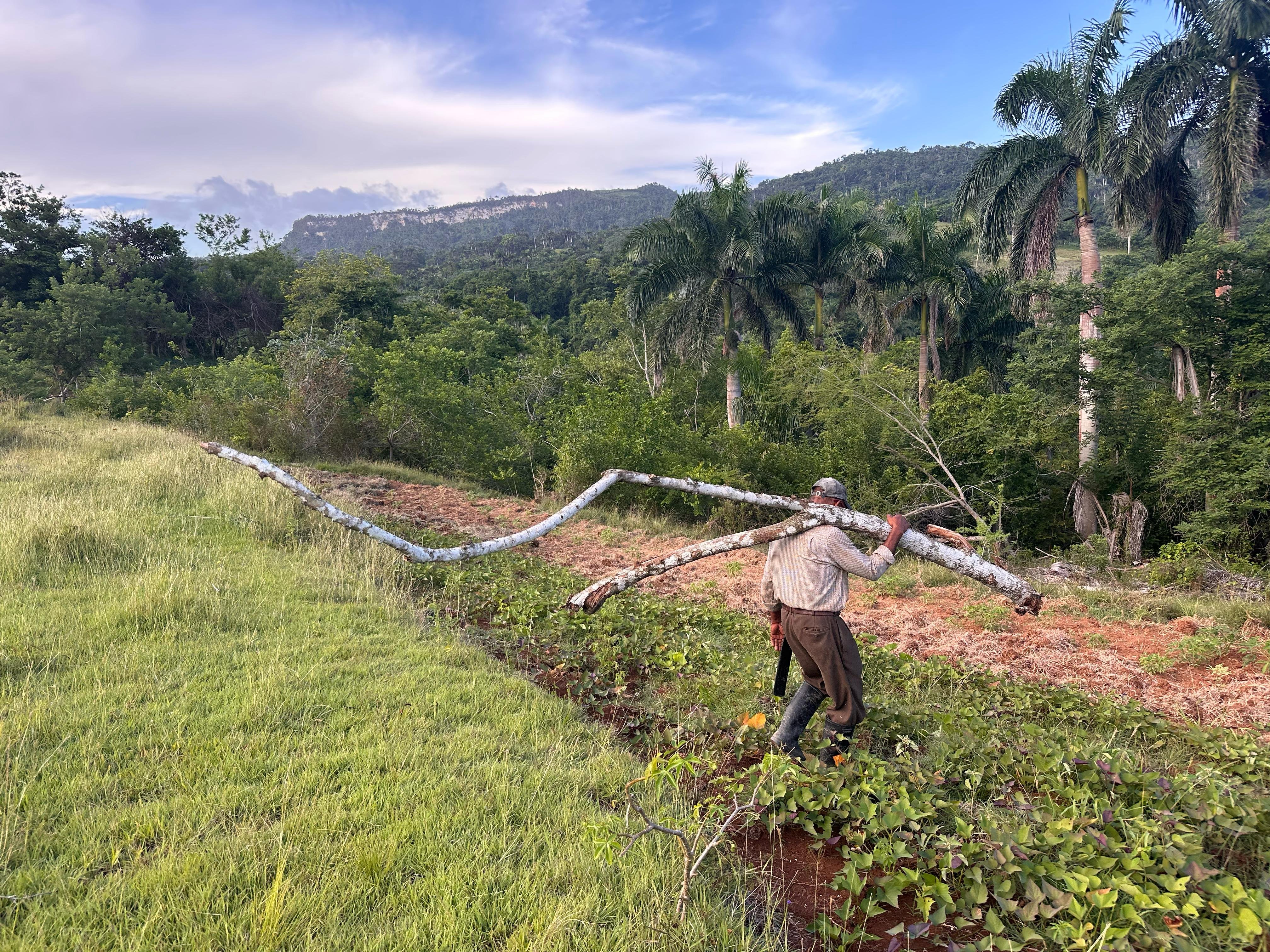 Changüí Is Disappearing — Help Us Preserve It campaign photo, 6 of 8