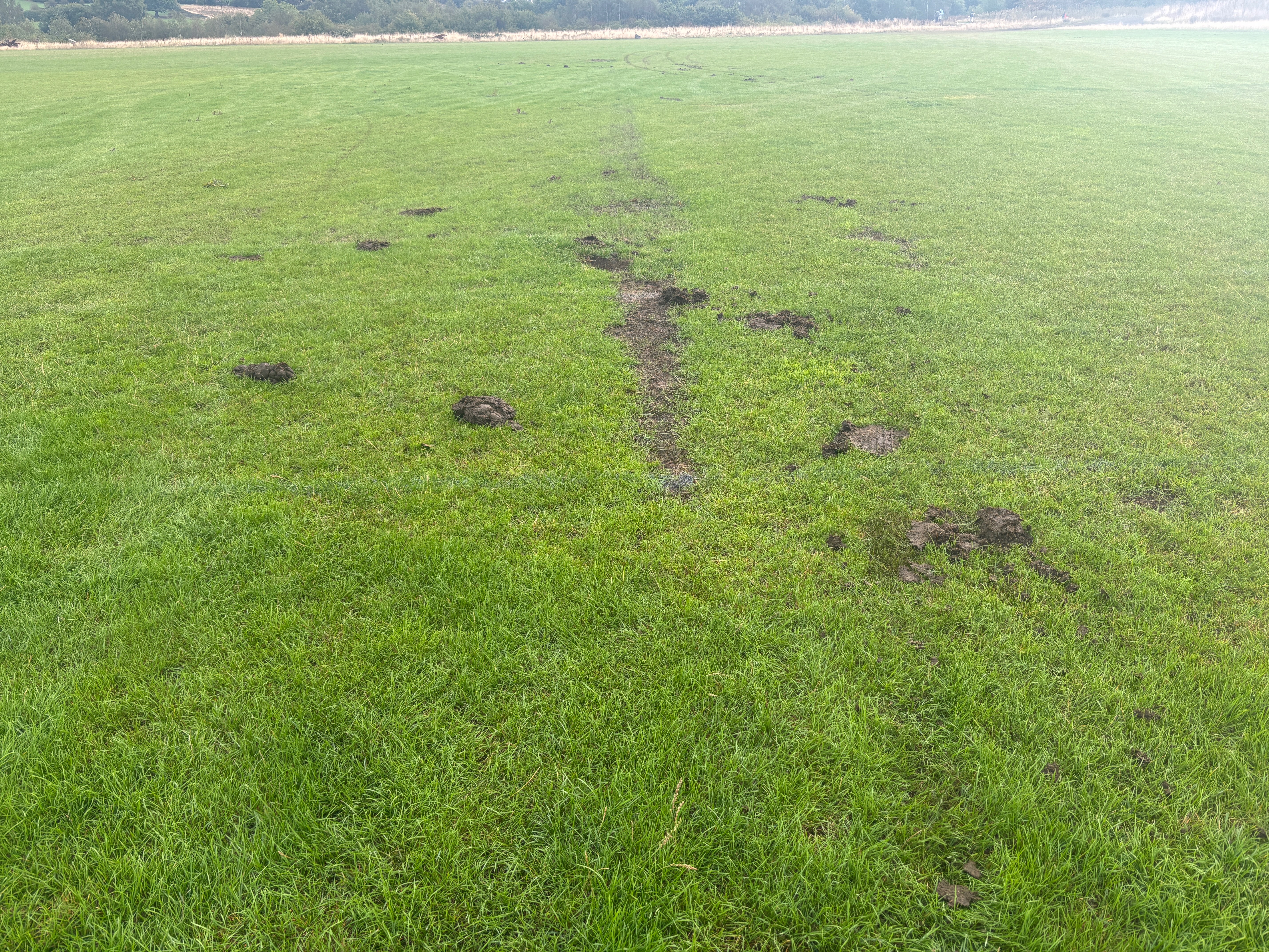 Help with the Wingerworth JSA pitches at the Avenue campaign photo, 2 of 7
