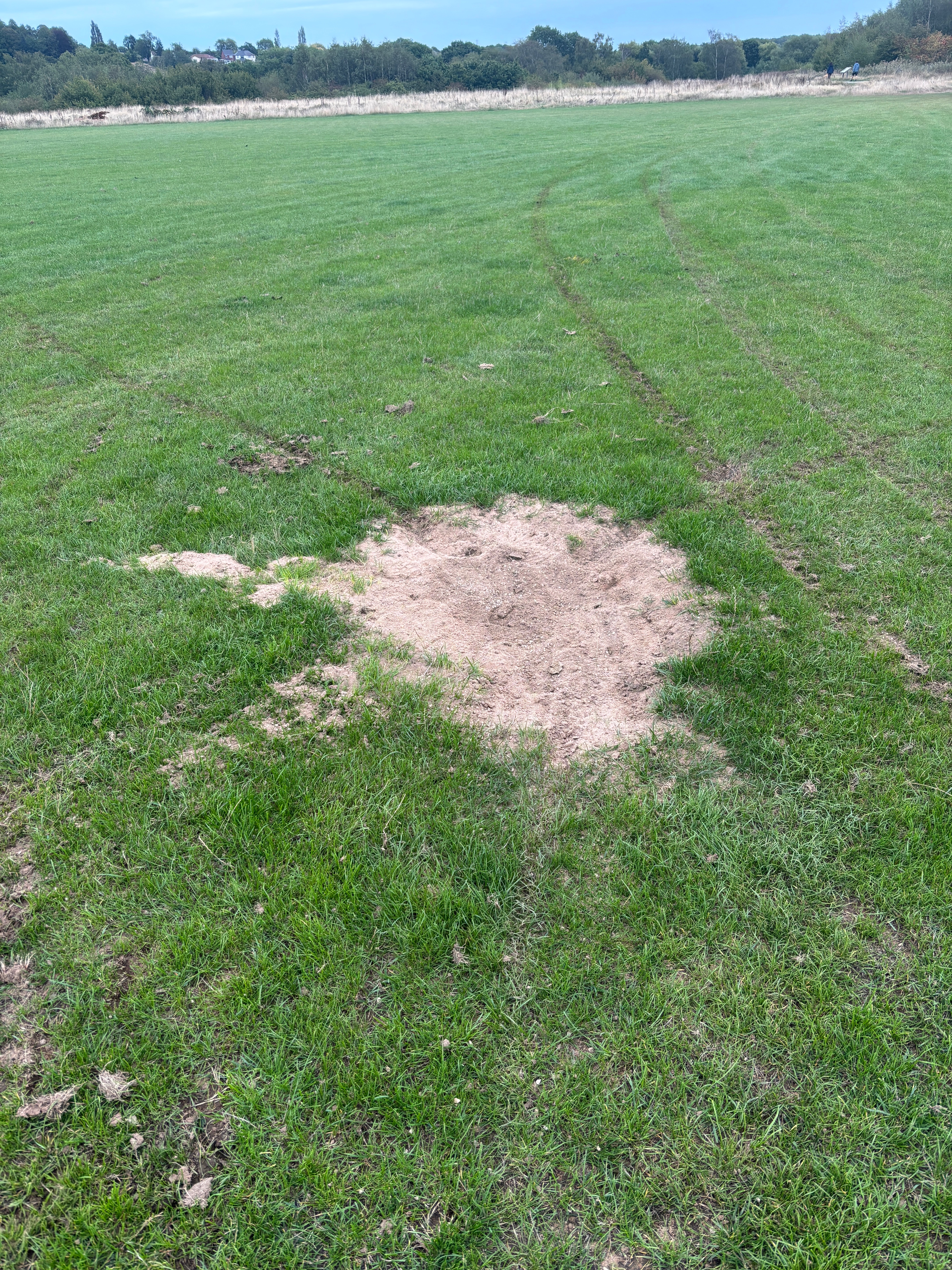 Help with the Wingerworth JSA pitches at the Avenue campaign photo, 5 of 7