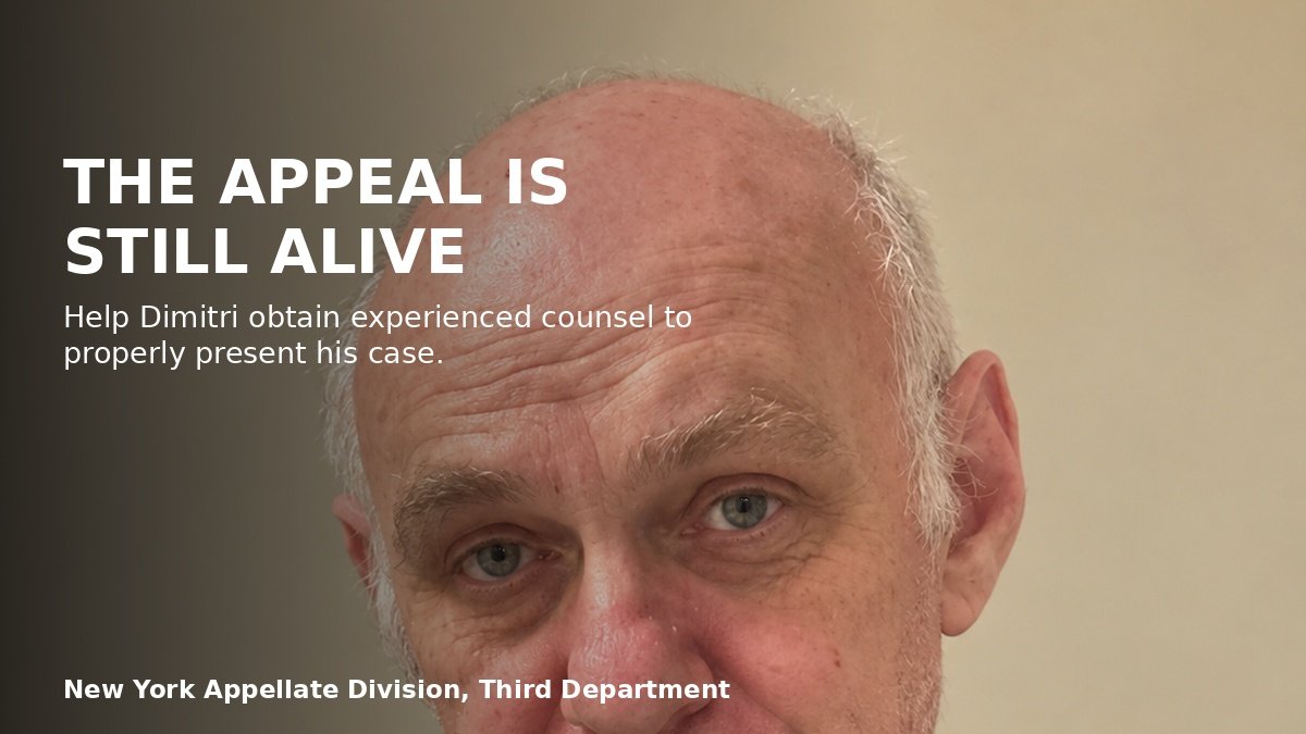 Help Dimitri Secure Counsel for His New York Property Appeal campaign photo, 4 of 6