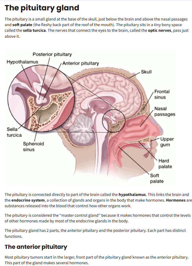 Support Jonathan's Brain Surgery and Recovery campaign photo, 5 of 8