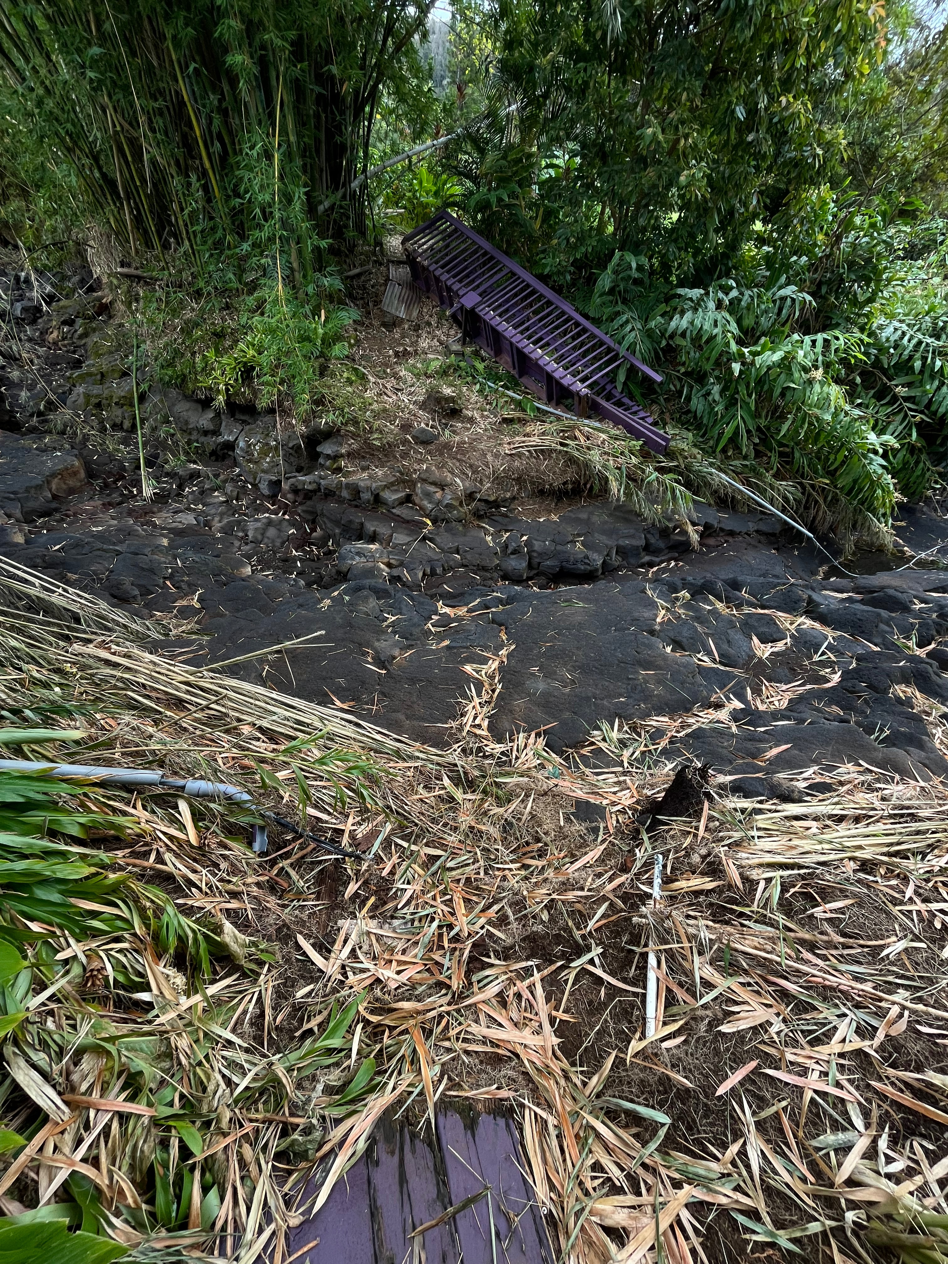 Help Sandra Rebuild After Hurricane Lala on Big Island campaign photo, 2 of 6