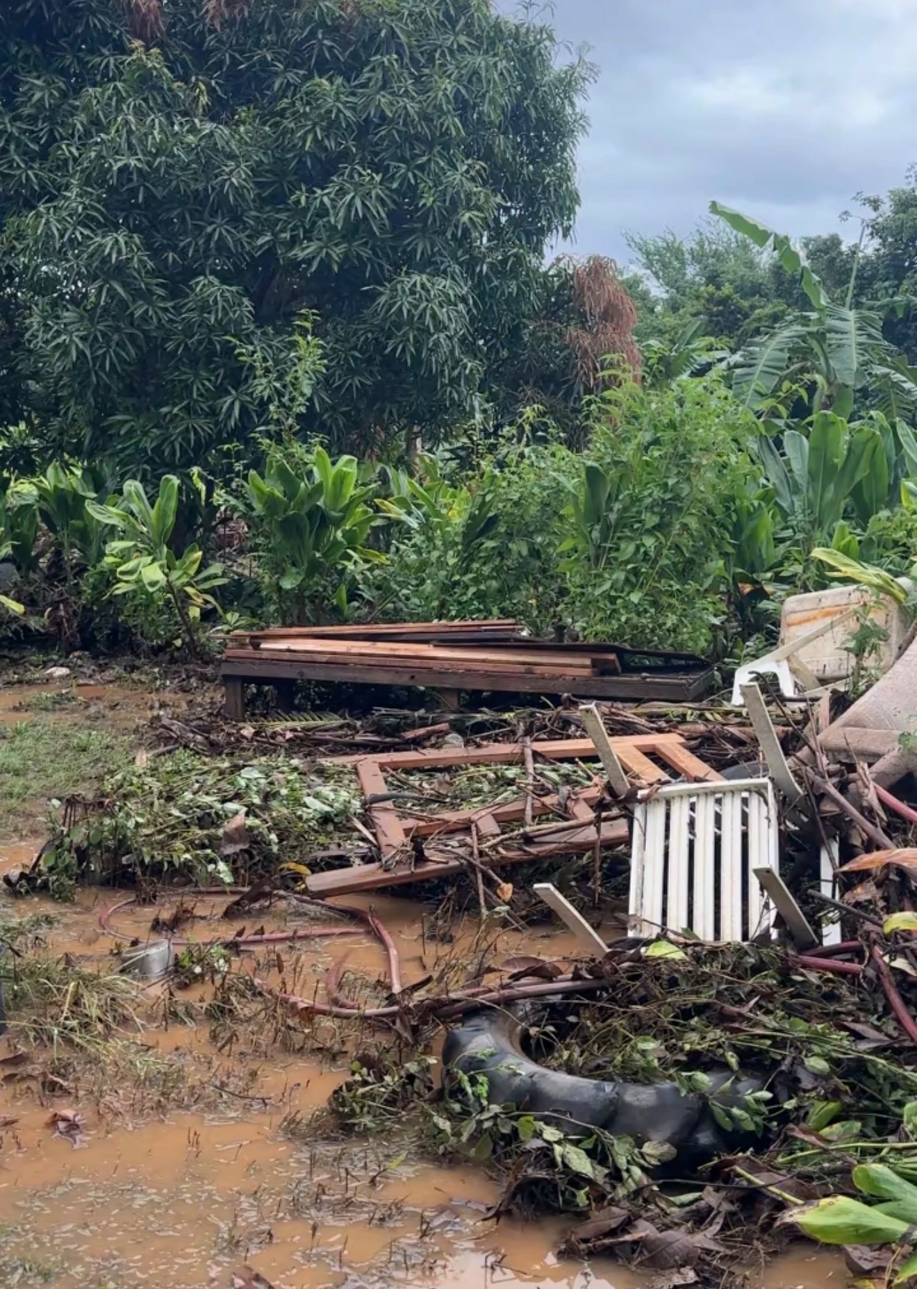 Help Seguin Family Farms Recover After Waiāhole Flooding campaign photo, 2 of 8