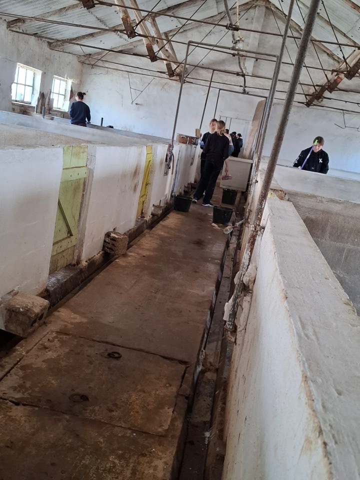 Kampagnen-Foto für 150 Seelen brauchen uns jetzt. Rettung von Silvis Shelter, 4 von 8
