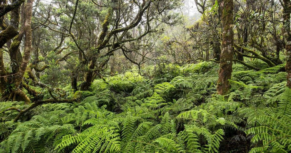 Protecting Native Hawaiian Burial Sites campaign photo, 4 of 5