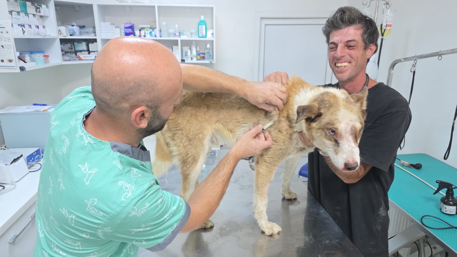 Help Us Cover Skye’s Ongoing Veterinary Care campaign photo, 4 of 8