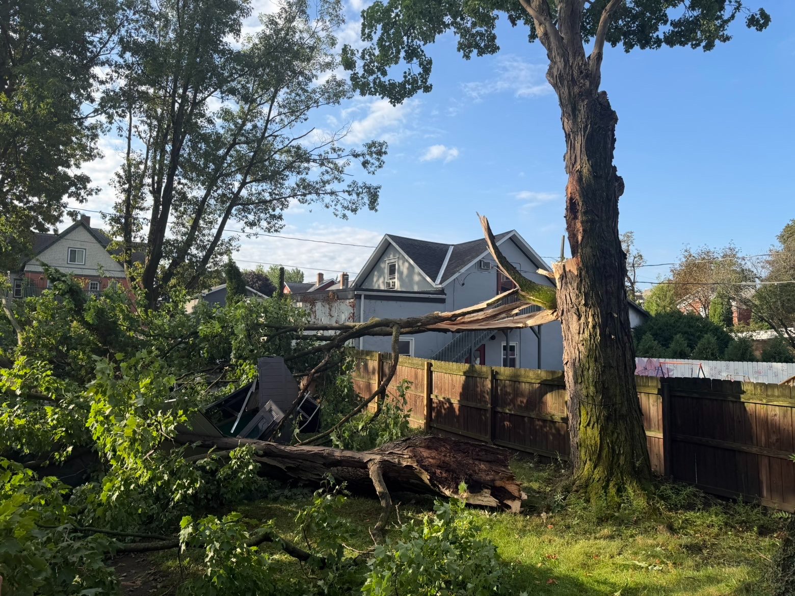 Storm Cleanup and Property Repairs for Gannon Pike campaign photo, 2 of 6
