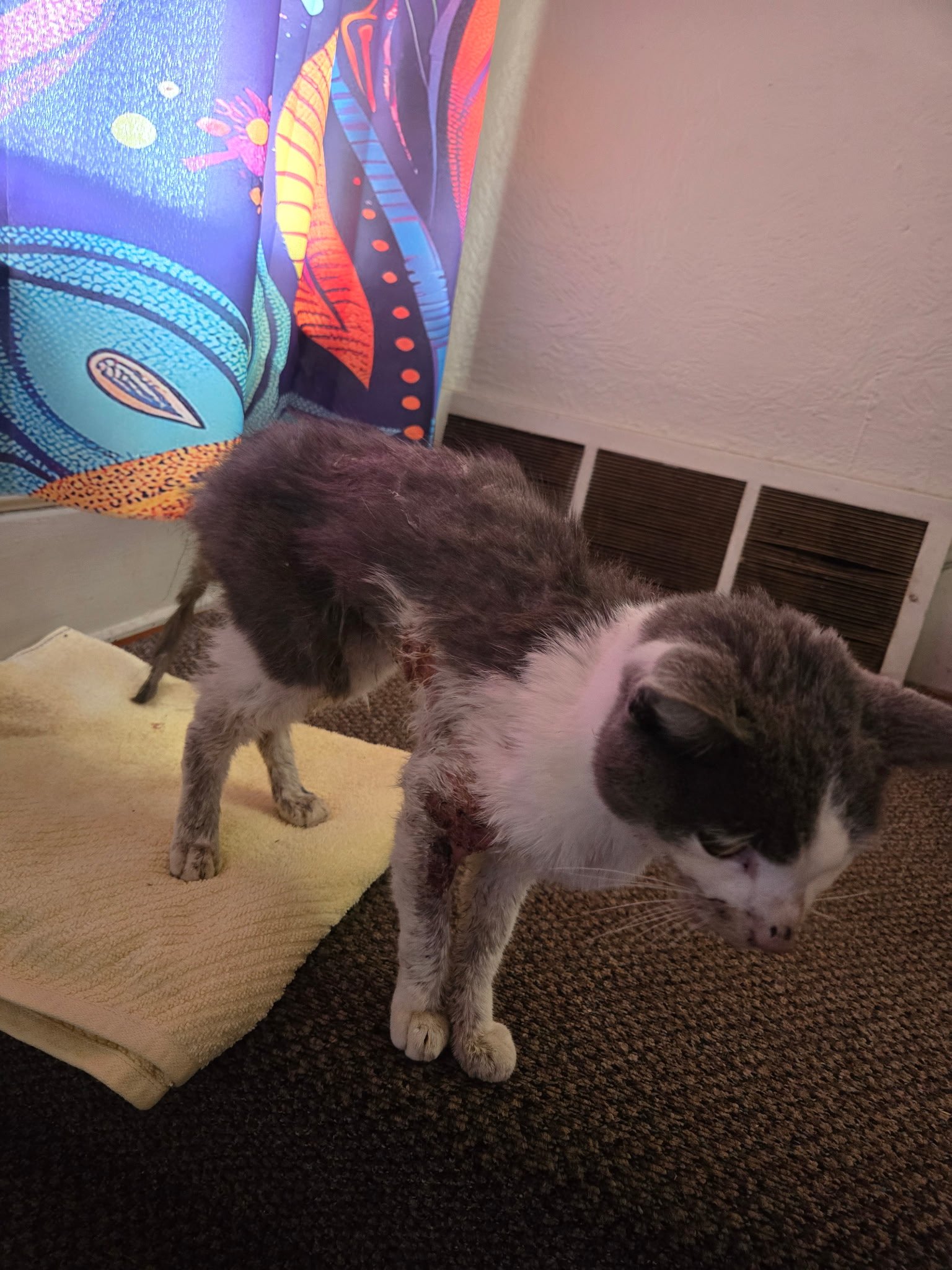 Testing and Care for Mr. Noodle campaign photo, 7 of 8