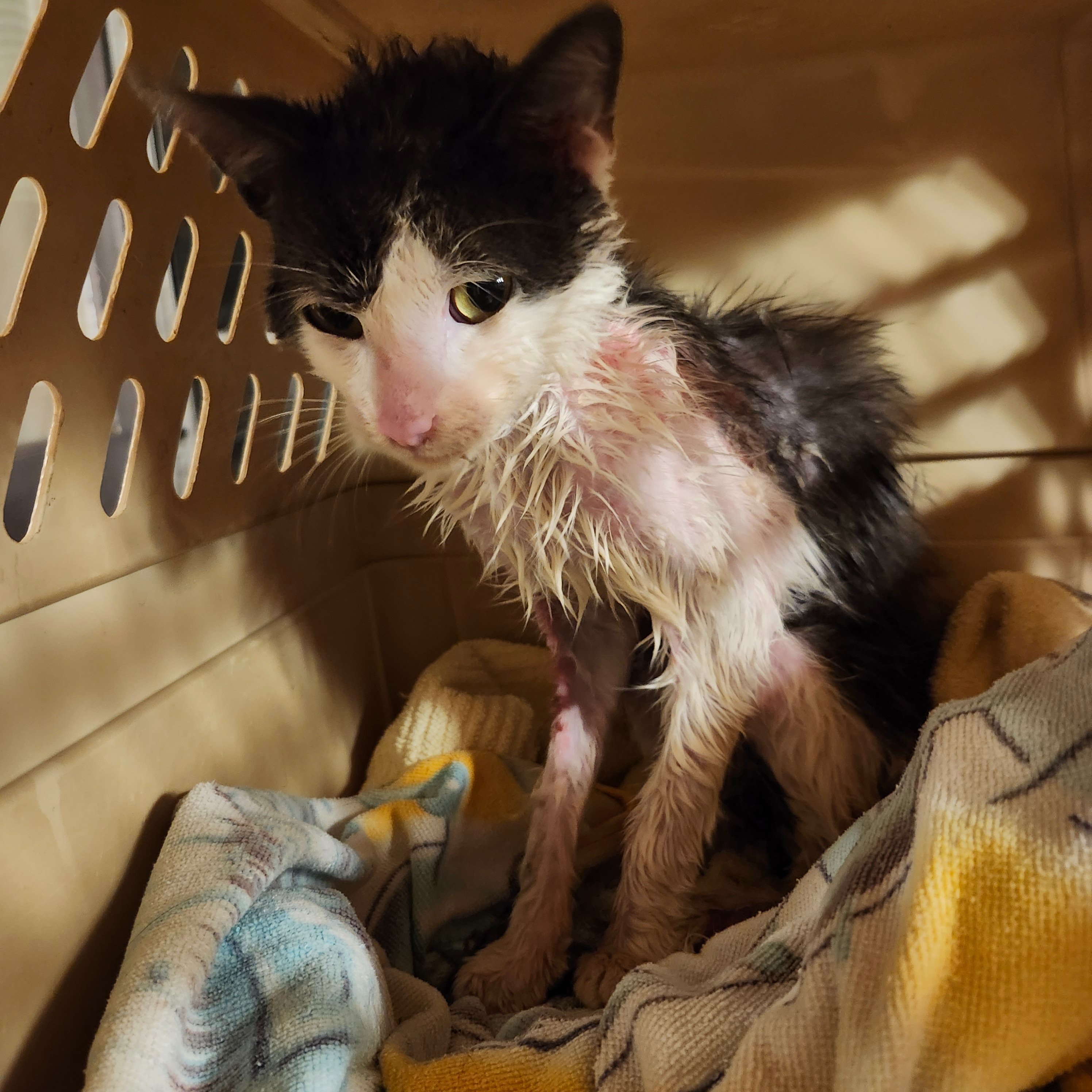 Testing and Care for Mr. Noodle campaign photo, 5 of 8