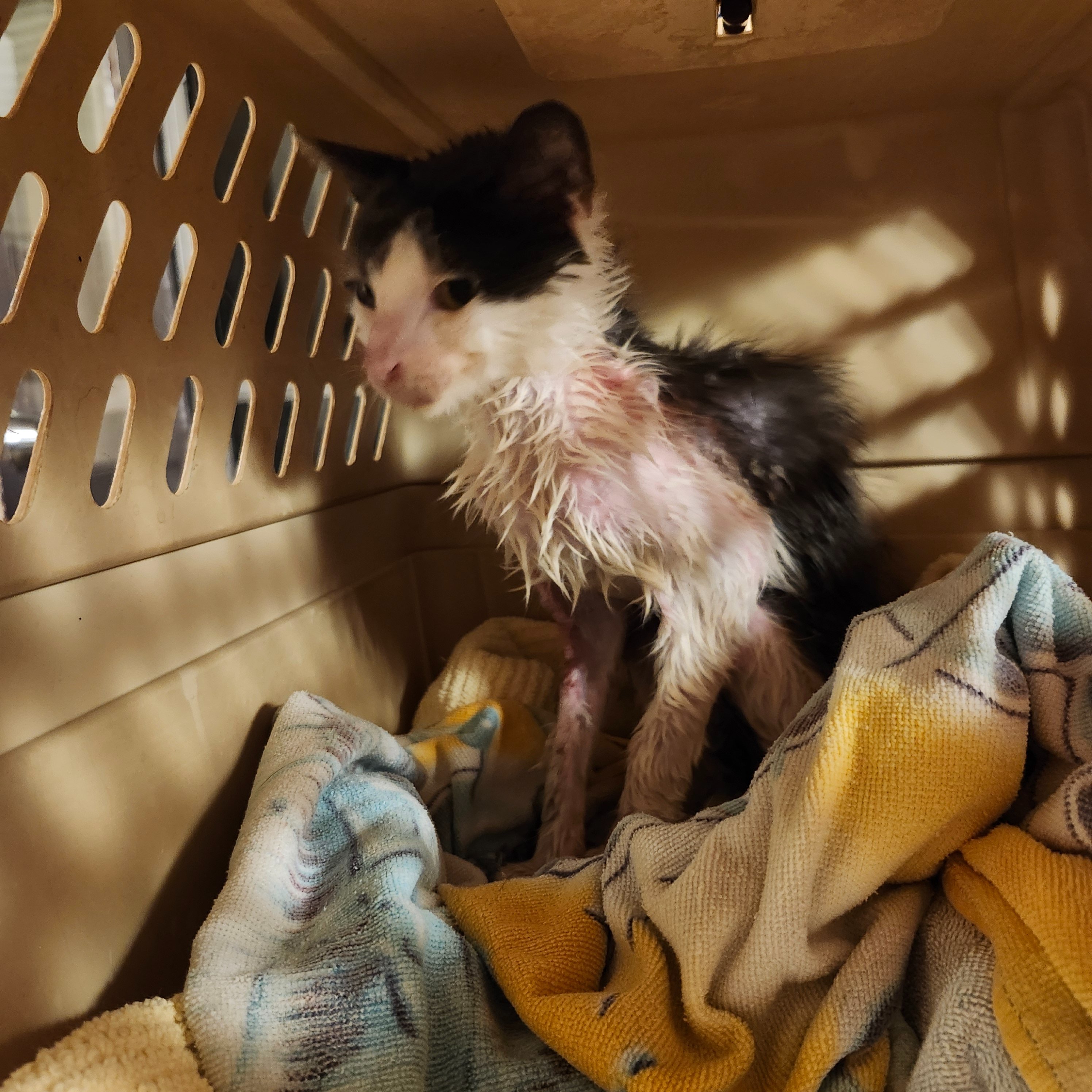 Testing and Care for Mr. Noodle campaign photo, 6 of 8
