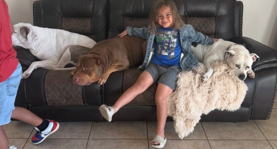 Life transition with 9 dogs and 2 boys. Dog donators needed campaign photo, 7 of 8