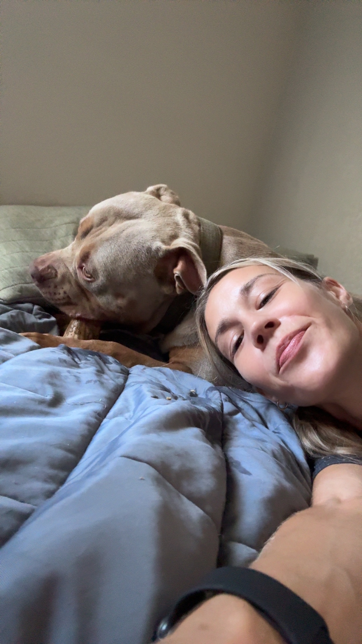 Life transition with 9 dogs and 2 boys. Dog donators needed campaign photo, 2 of 8
