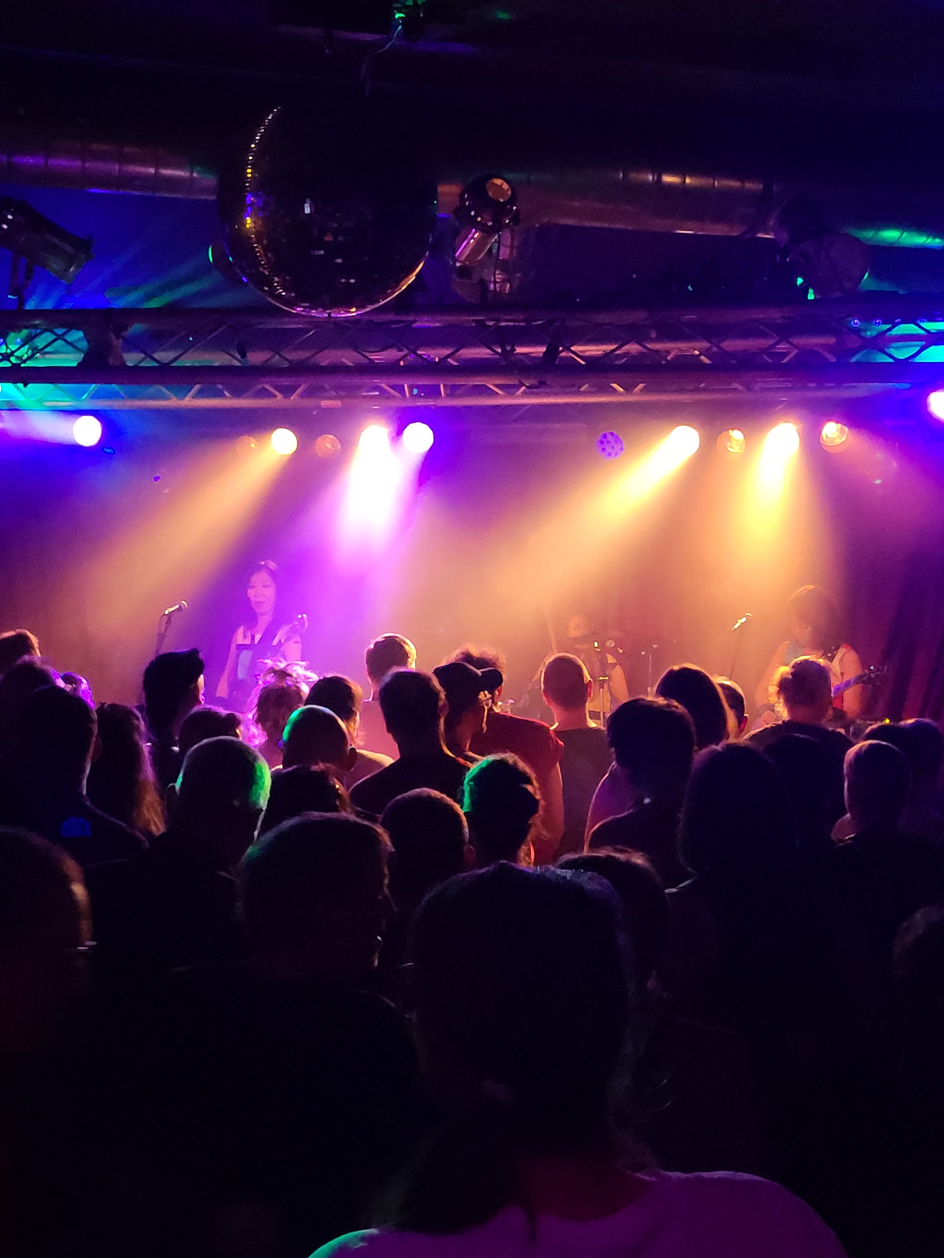 Save Monkeys Music Club Hamburg campaign photo, 4 of 8