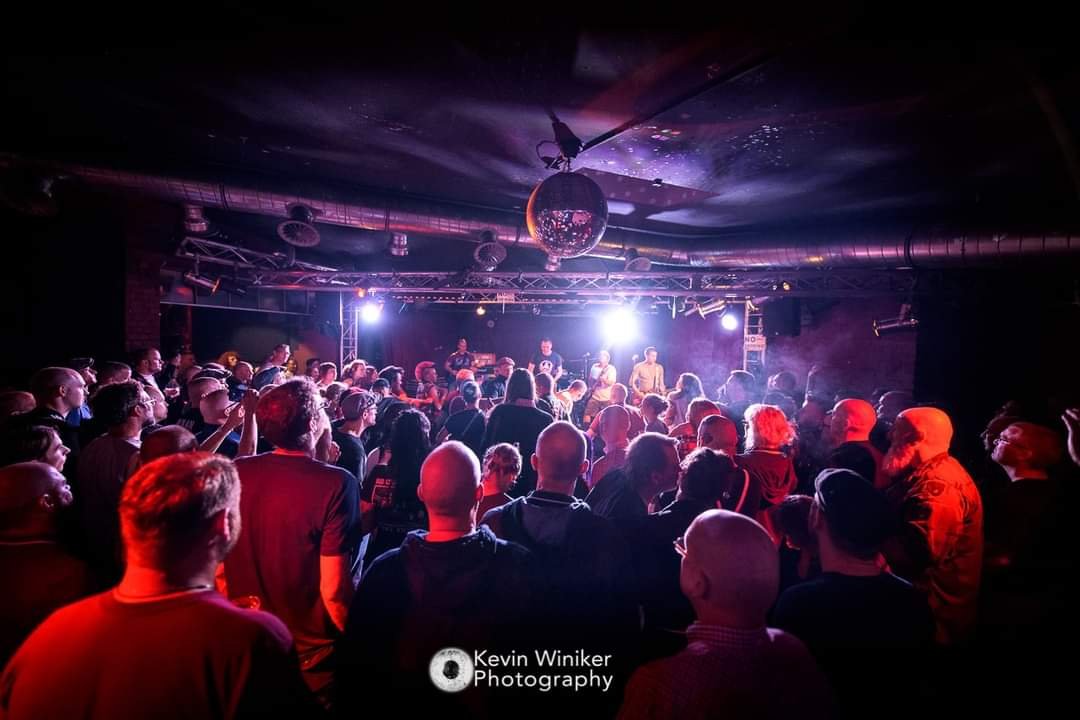 Save Monkeys Music Club Hamburg campaign photo, 5 of 8