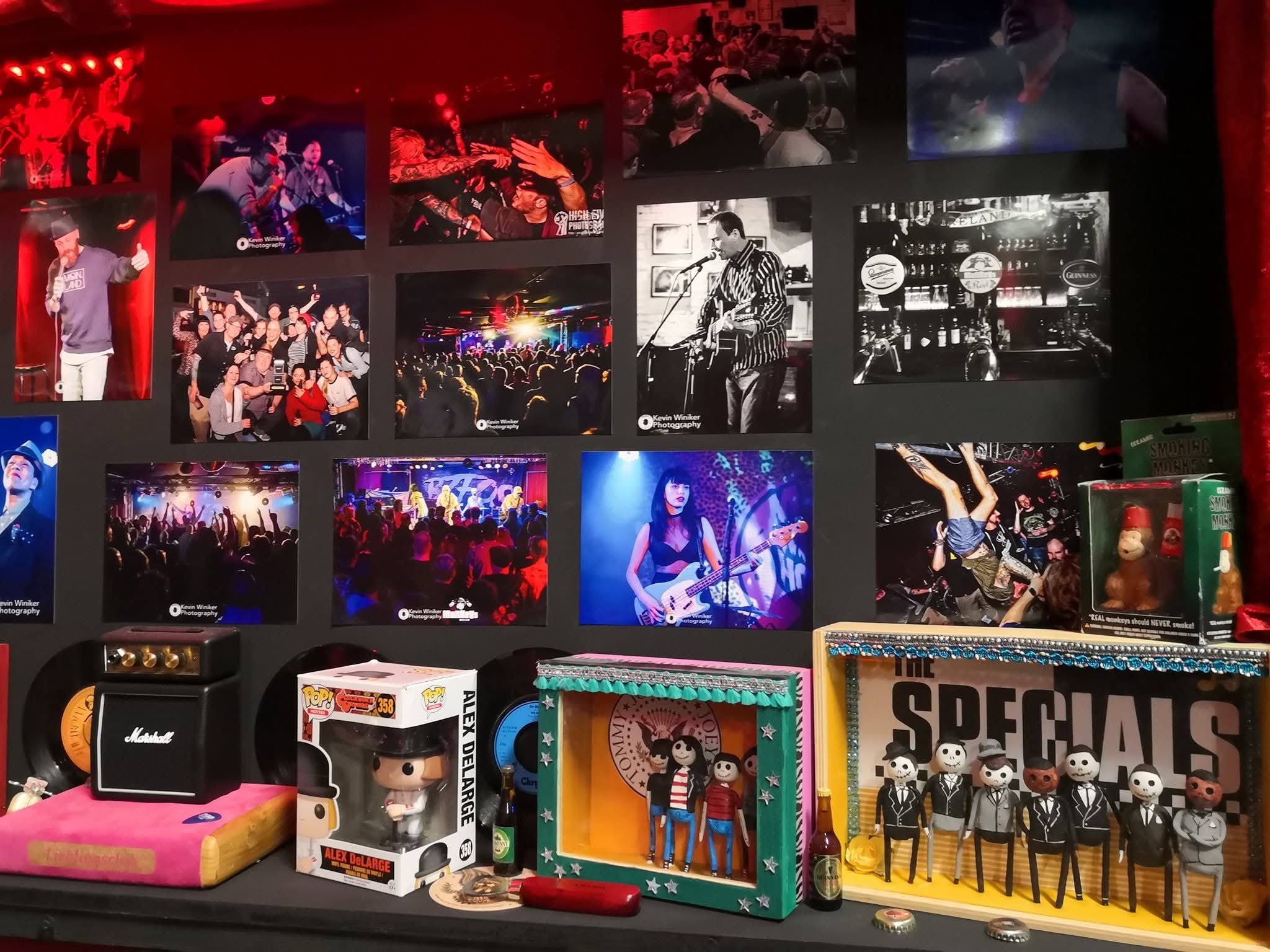 Save Monkeys Music Club Hamburg campaign photo, 6 of 8