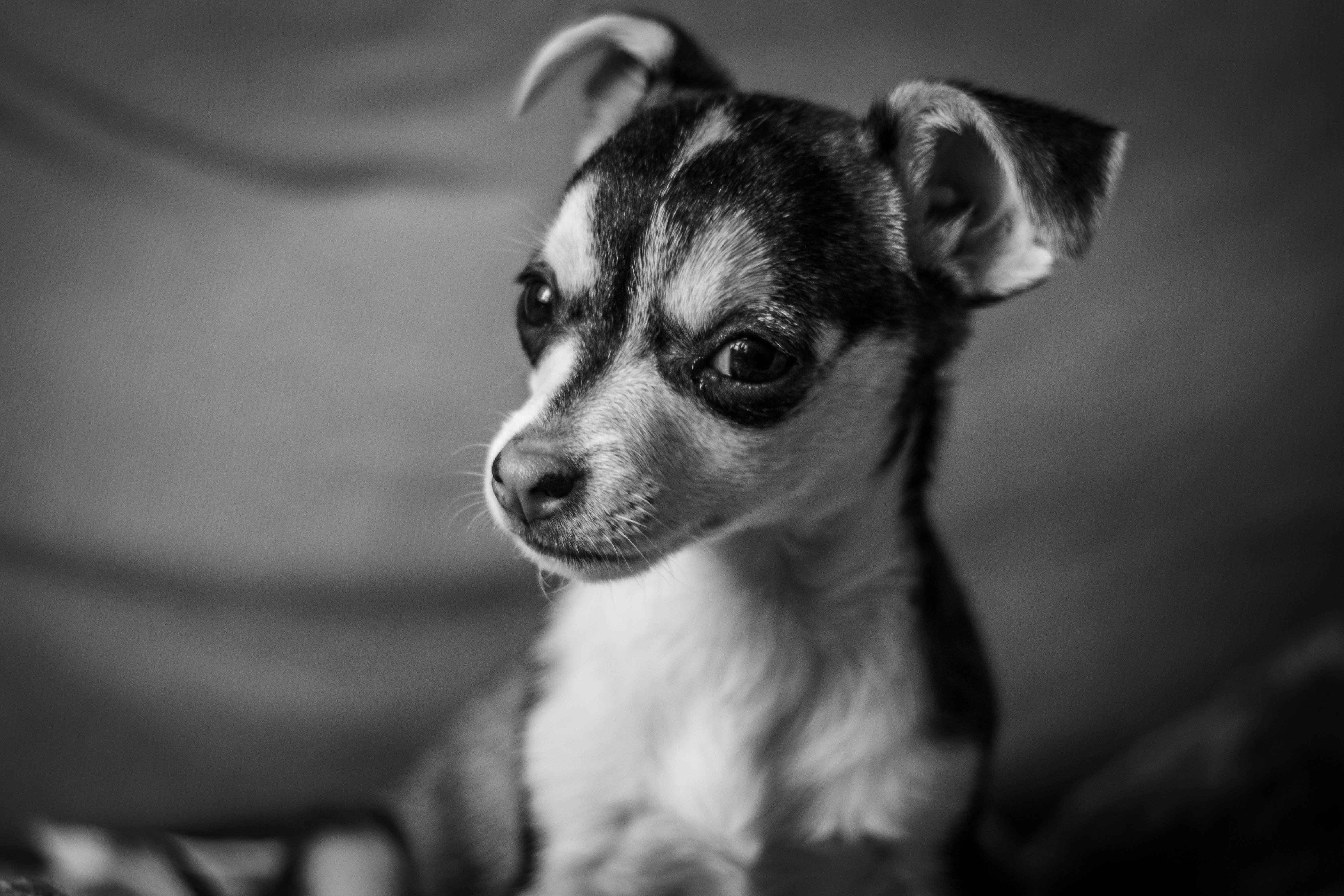 Operation : Save Shelly campaign photo, 7 of 7