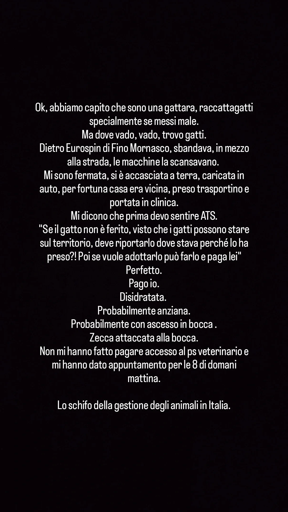 Continuano le cure per Fina, verso la ripresa ❤️ campaign photo, 5 of 5
