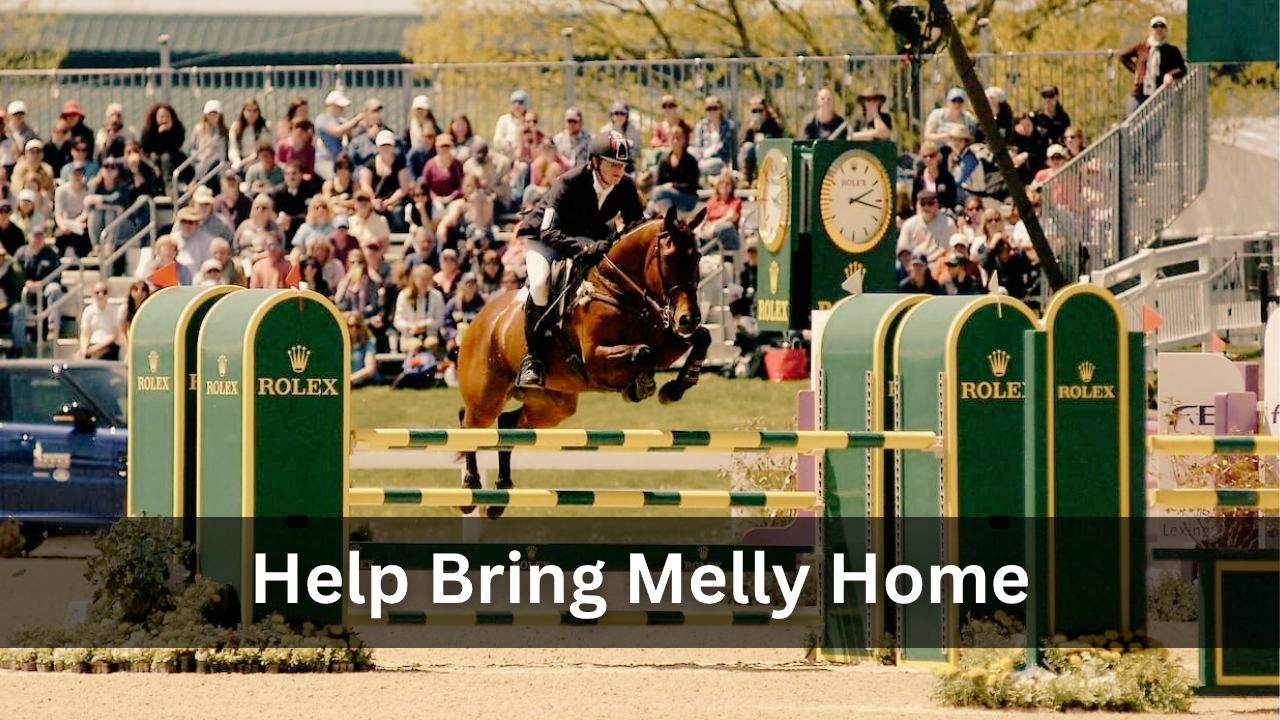 Help Bring The Queen Home campaign photo, 2 of 4